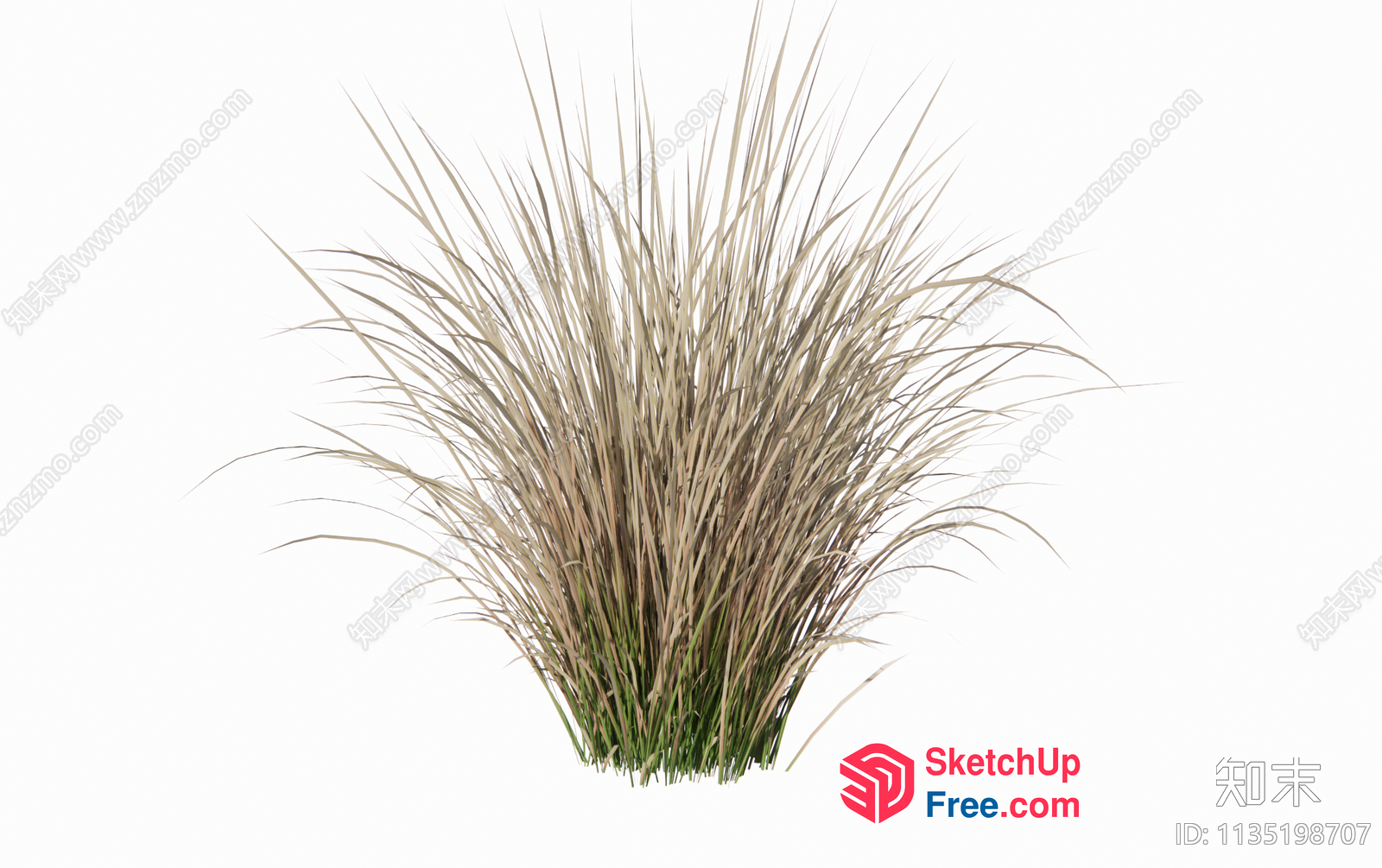 Grass Plant 3D SketchUp File