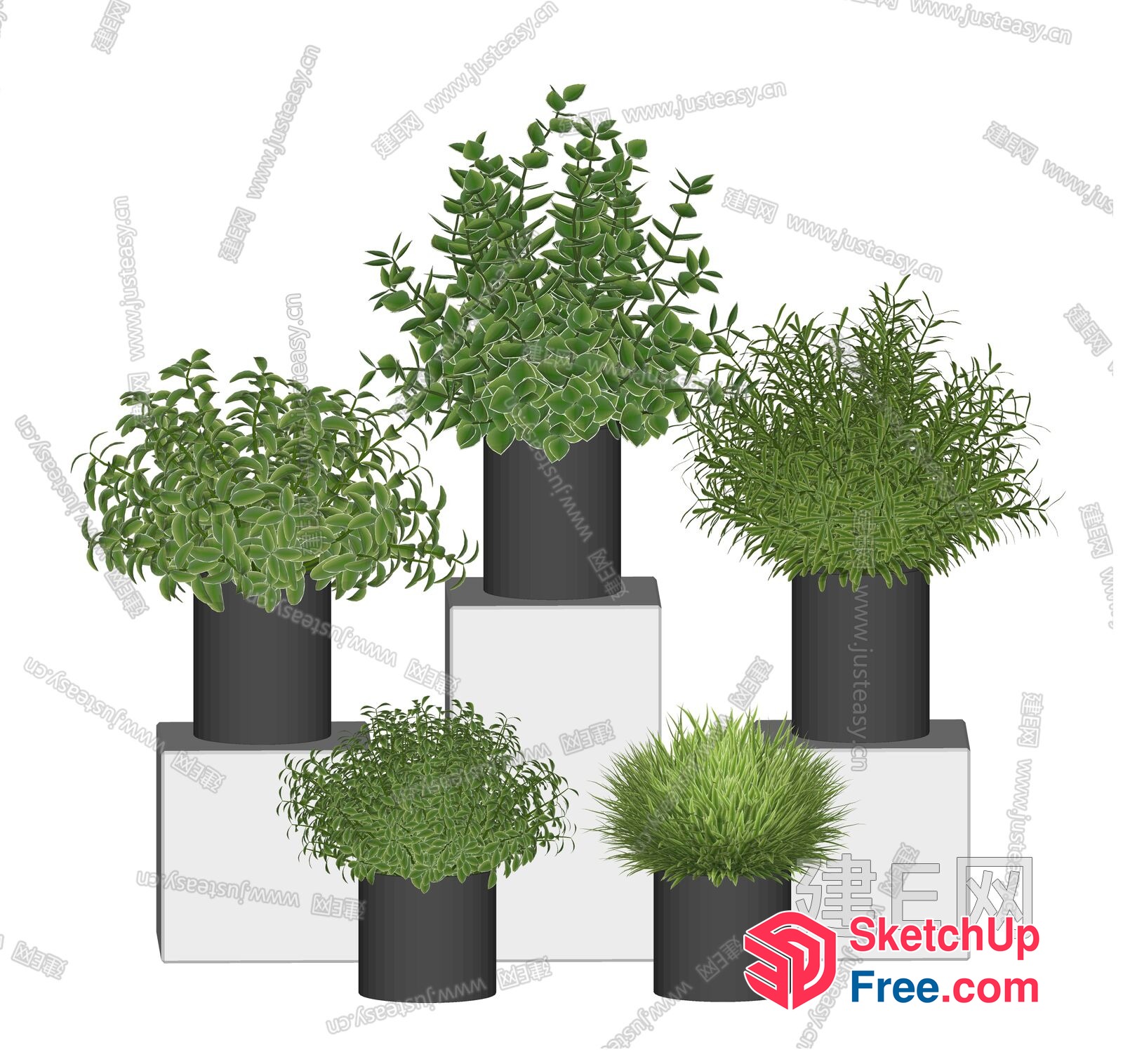 Potted Plants In Modern Vases 3D SketchUp File