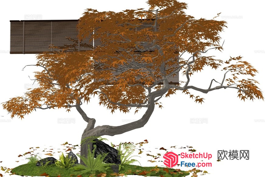 Japanese Style Tree In Autumn 3D SketchUp File