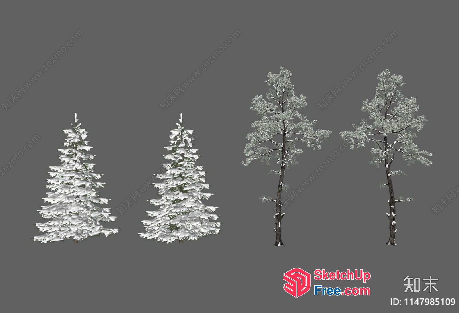 Winter Trees With Snowy Branches And Trunks 3D SketchUp File