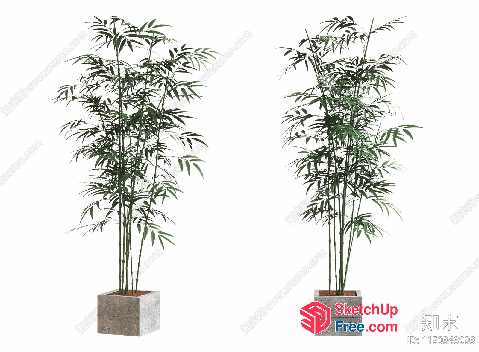 Two Potted Plants With Green Leaves 3D SketchUp File