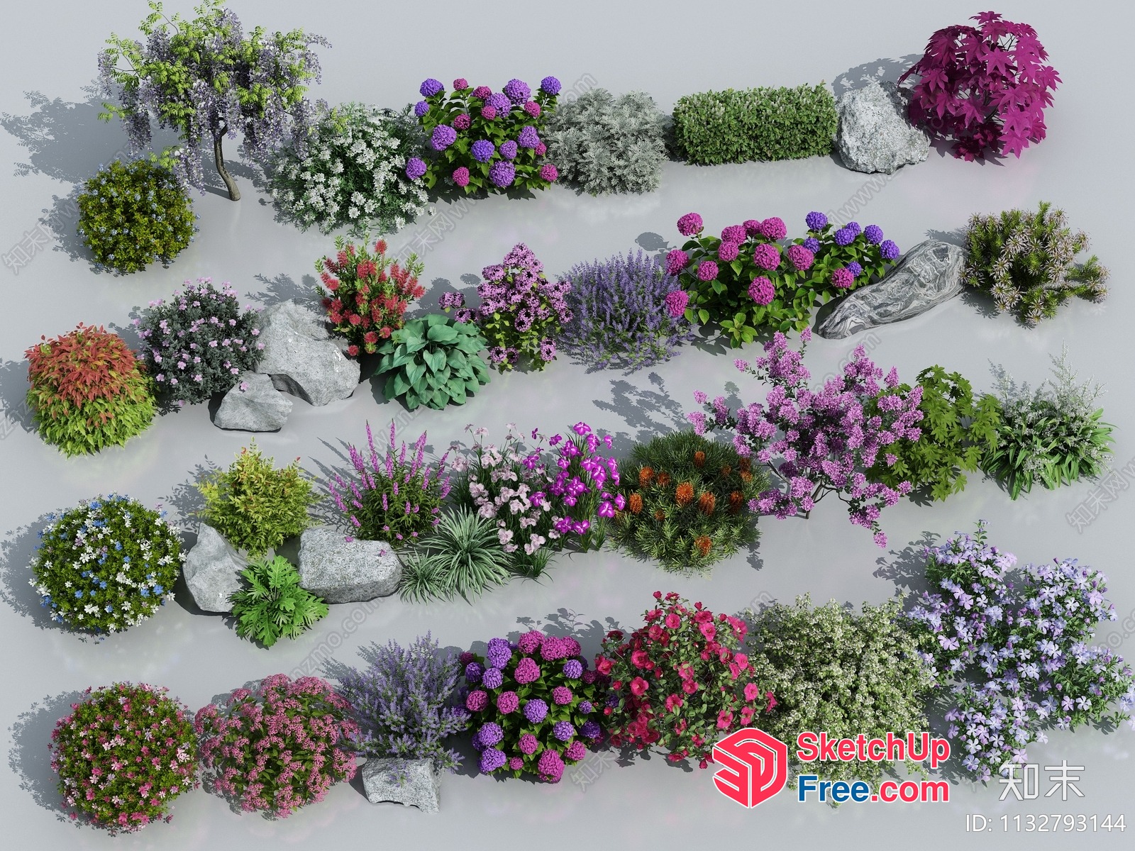 Vibrant Outdoor Plant Arrangement 3D SketchUp File