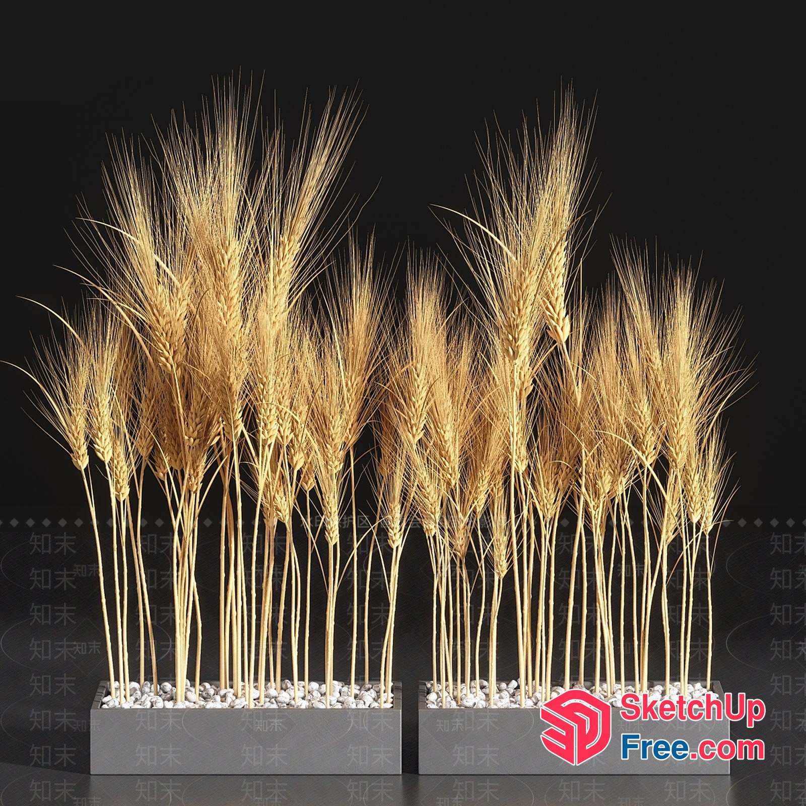 Wheat Field Arrangement 3D SketchUp File
