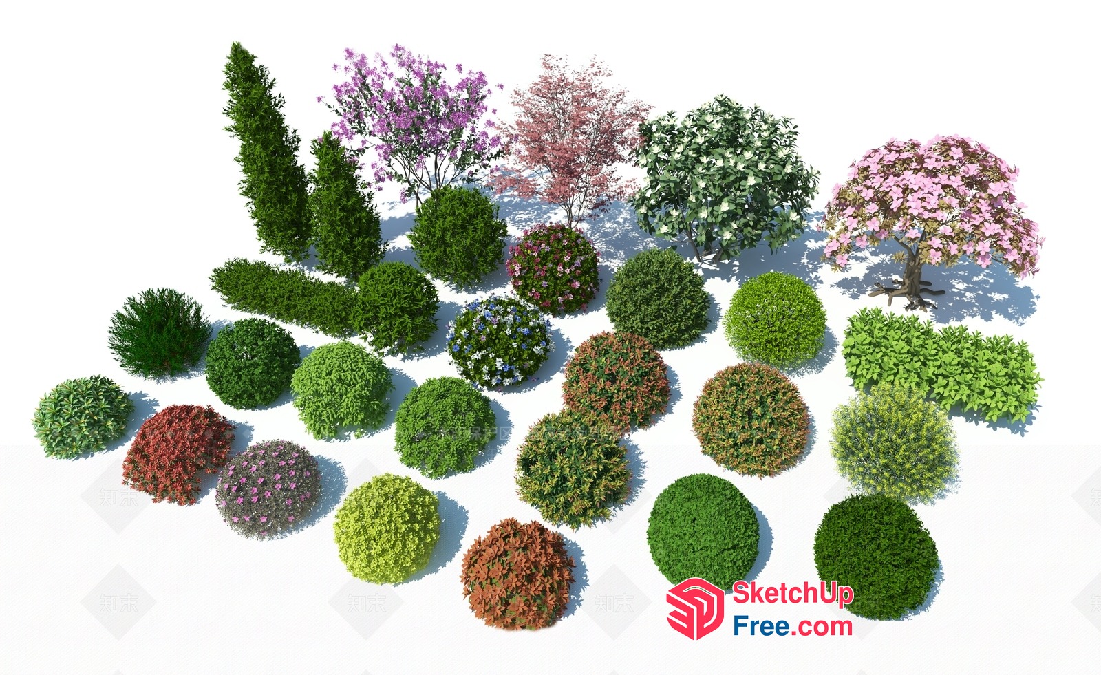 Greenery Decorative Plants 3D SketchUp File