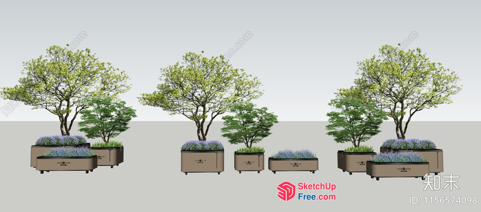 Three Potted Trees With Decorative Planters 3D SketchUp File