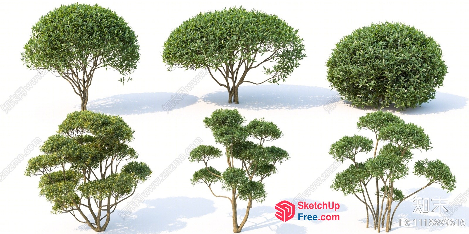 3D Rendered Trees In Various Shapes And Sizes 3D SketchUp File