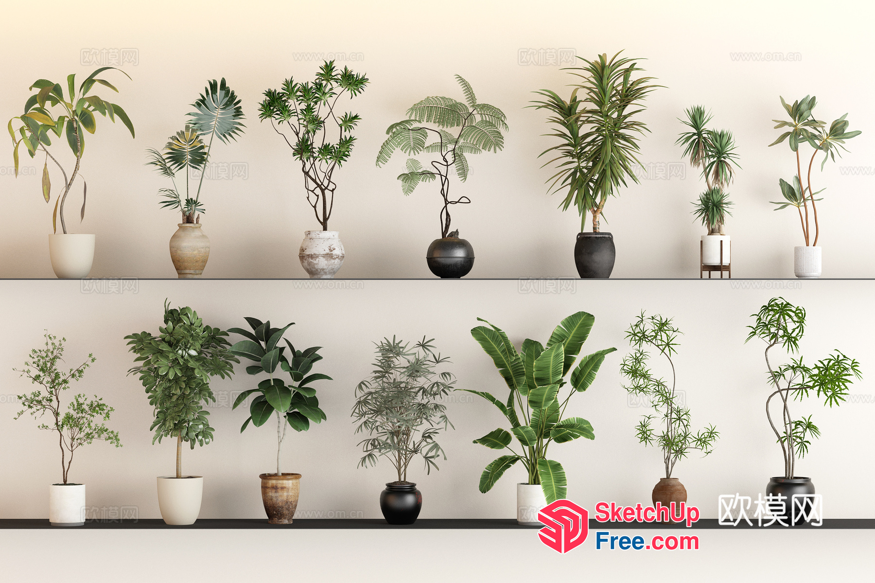 Potted Plants On Shelf 3D SketchUp File