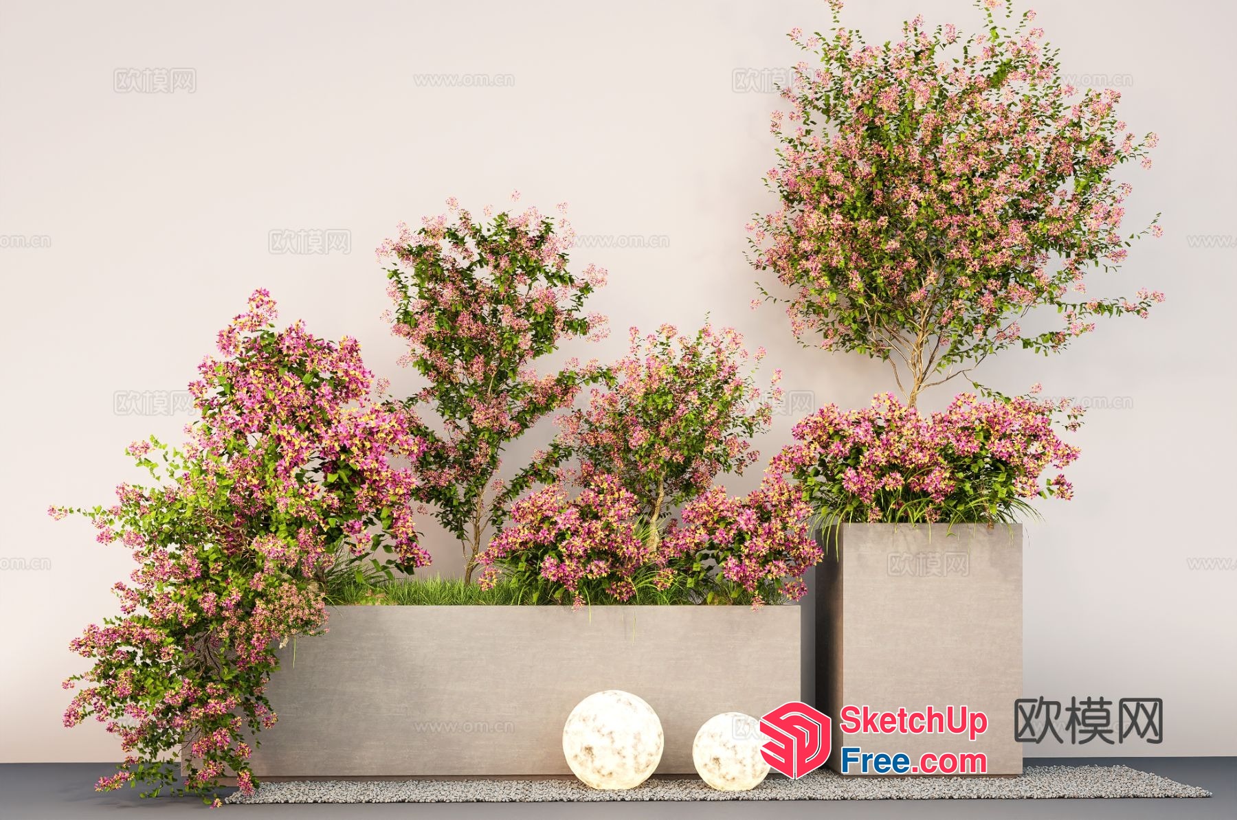 Pink Flowering Plants In Rectangular Pots 3D SketchUp File