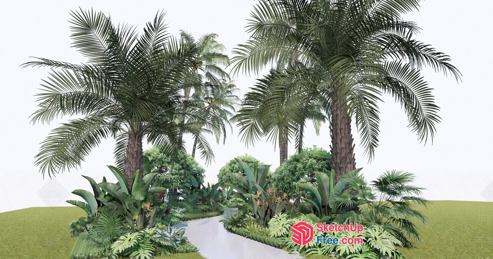 Tropical Palm Tree Garden Pathway 3D SketchUp File