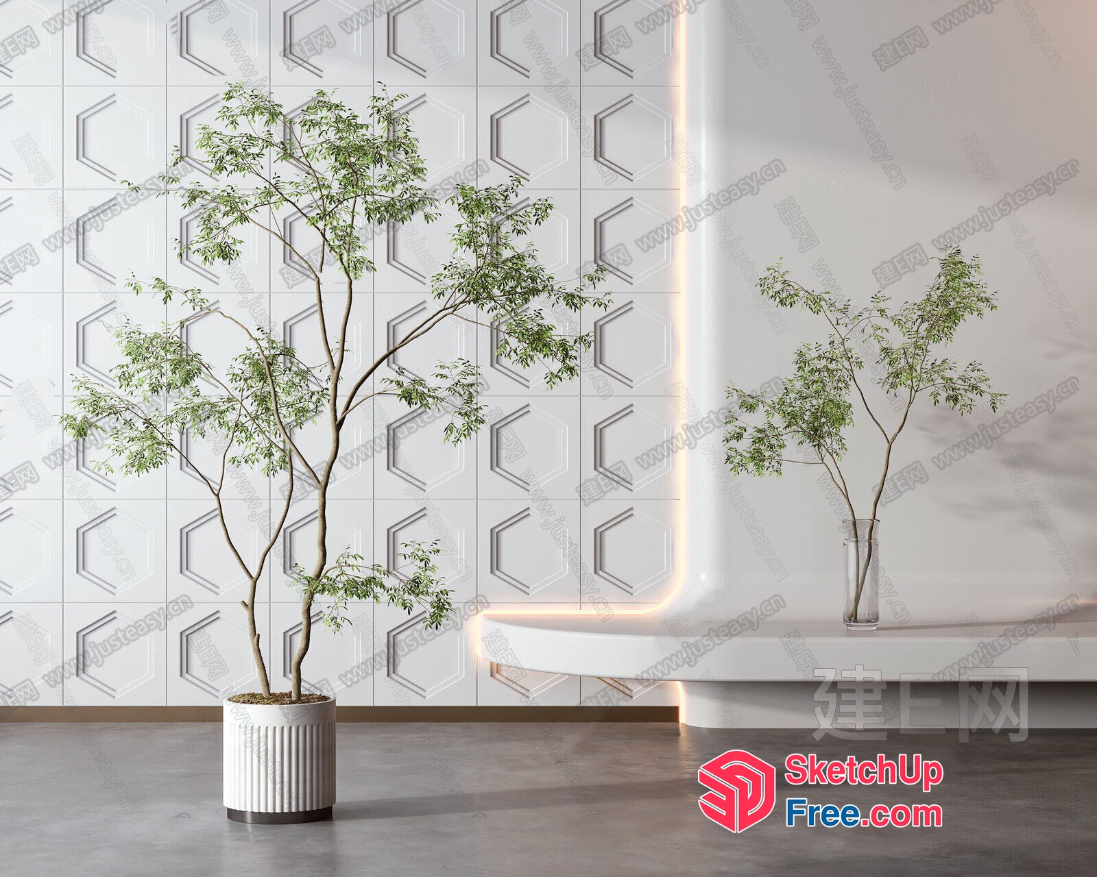 Potted Tree In Modern Interior Space 3D SketchUp File