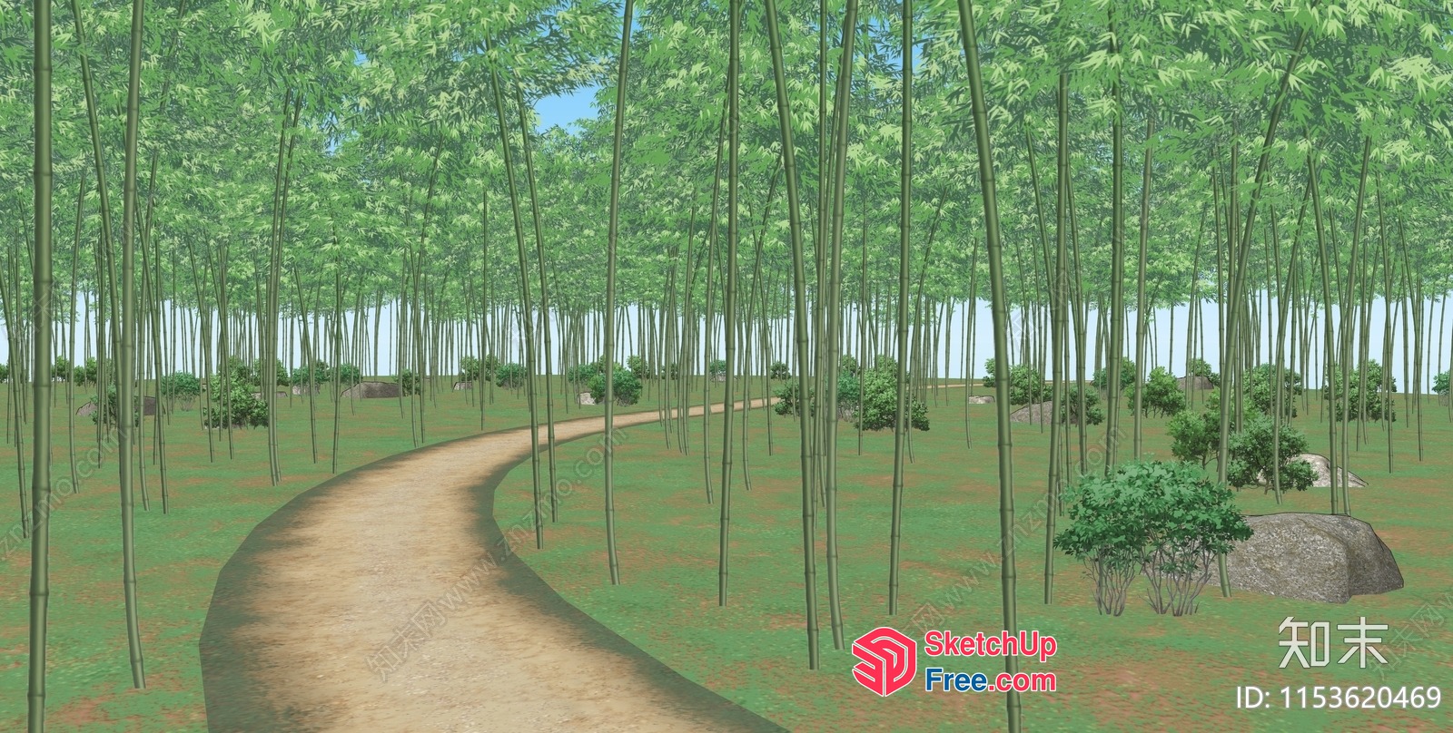 Serene Bamboo Forest Pathway 3D SketchUp File