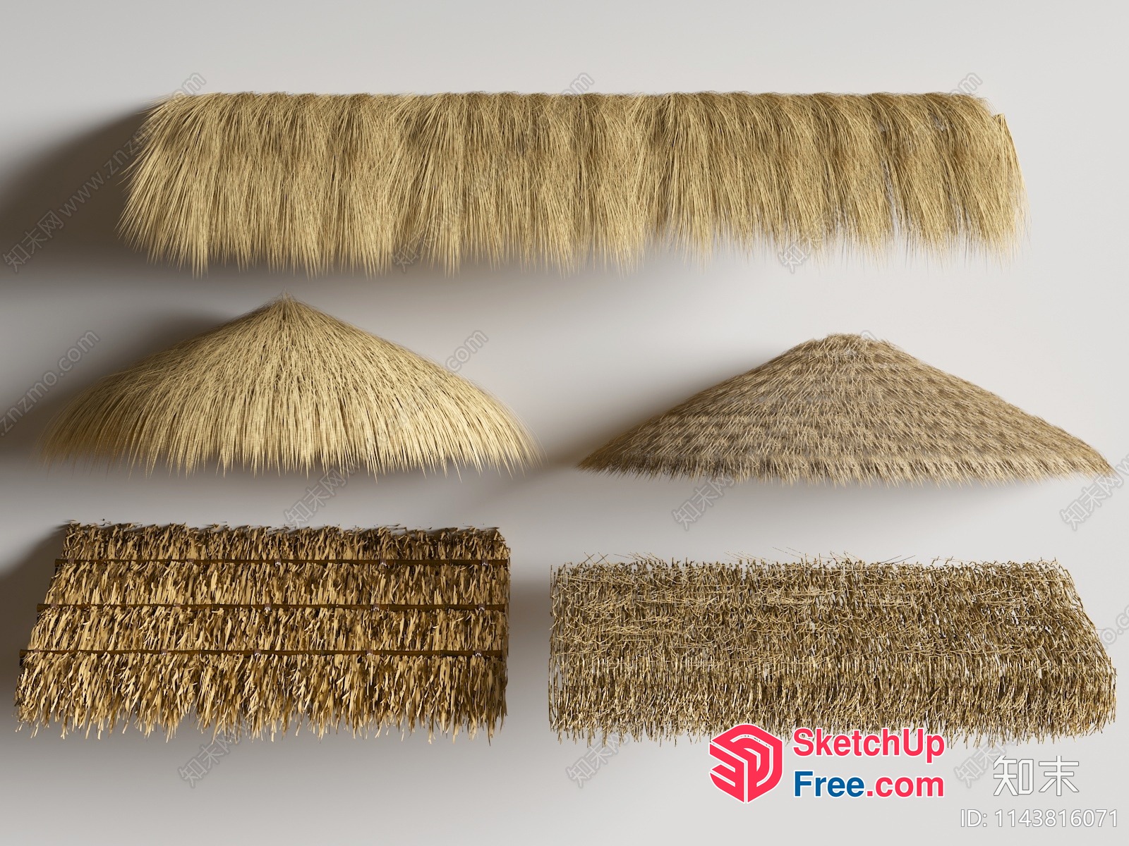 Exotic Thatched Roof Design Options 3D SketchUp File