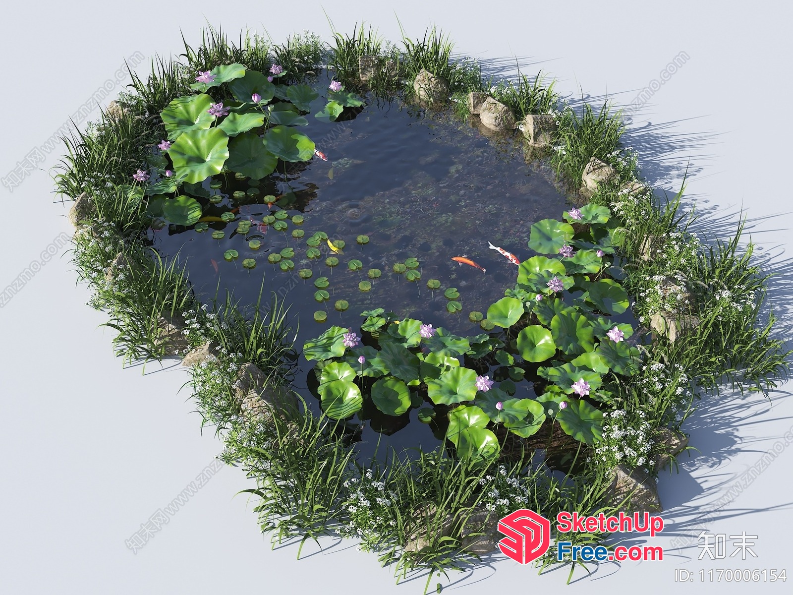 Serene Pond With Koi Fish And Lush Greenery 3D SketchUp File