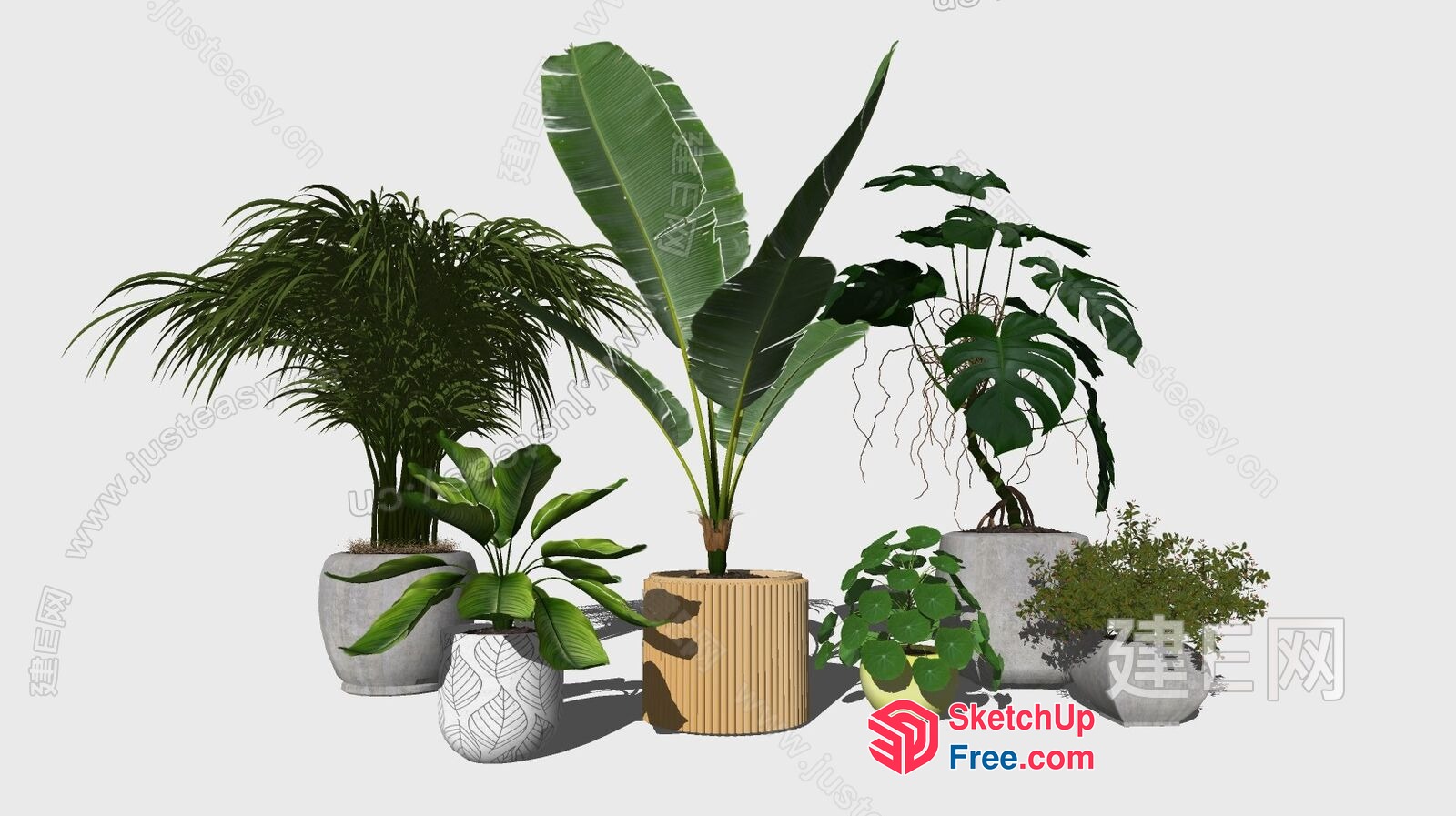 Potted Plants Arrangement 3D SketchUp File