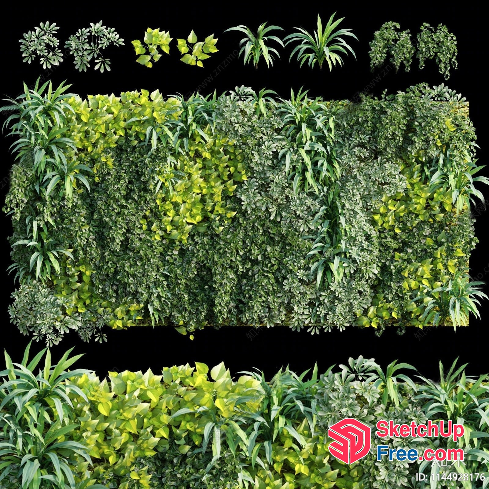 Lush Greenery Wall 3D SketchUp File