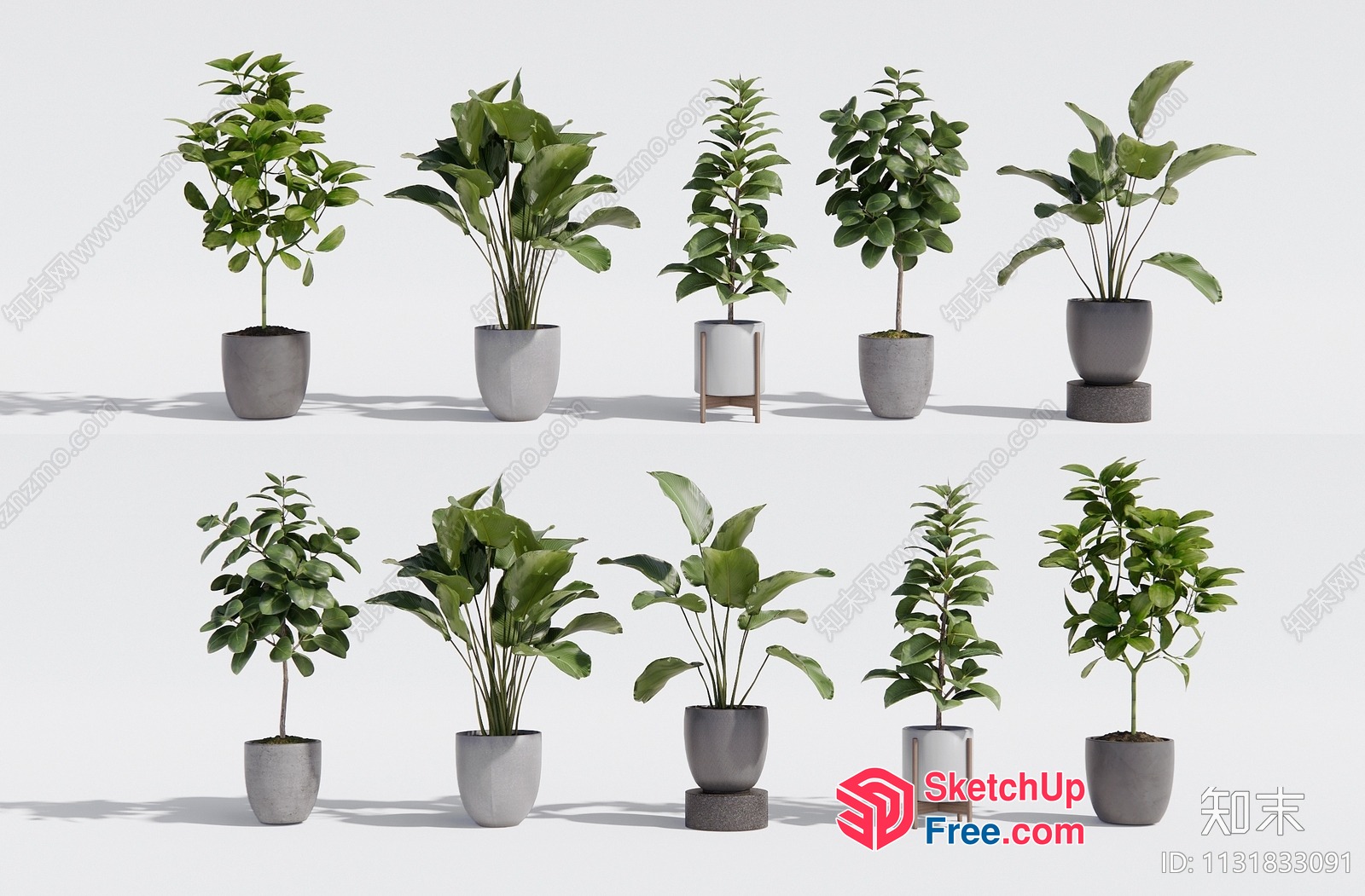 Potted Plants In Concrete Pots 3D SketchUp File