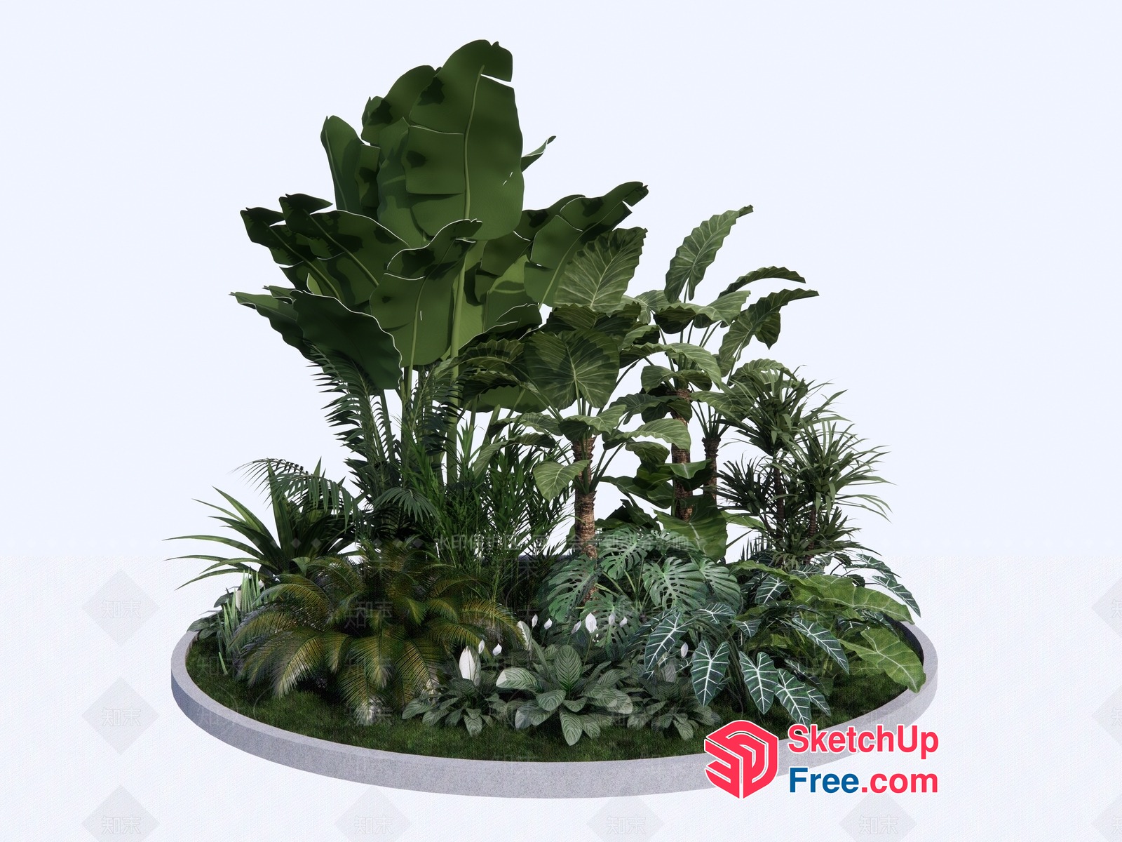 Tropical Plant Arrangement On A Round Platform 3D SketchUp File
