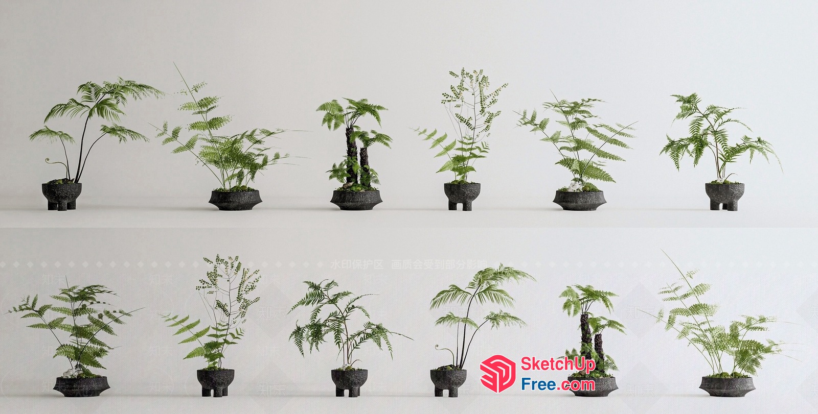 Small Potted Plants In Dark Grey Pots 3D SketchUp File
