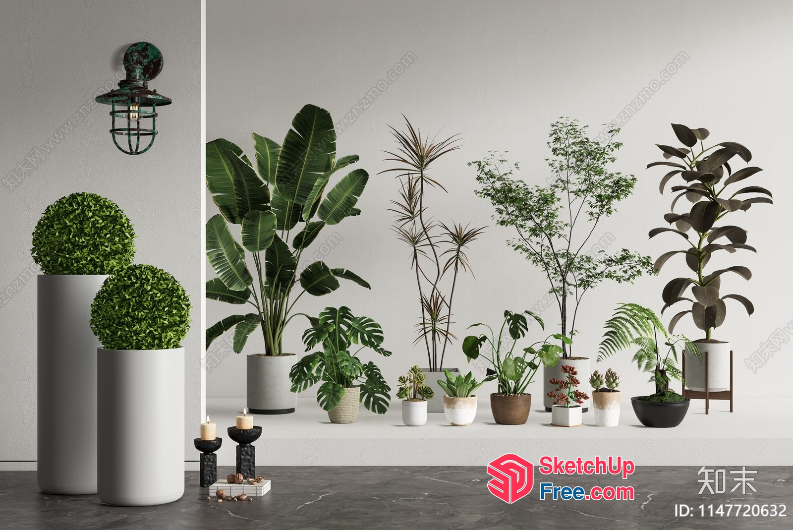 Potted Plants And Decorative Items 3D SketchUp File