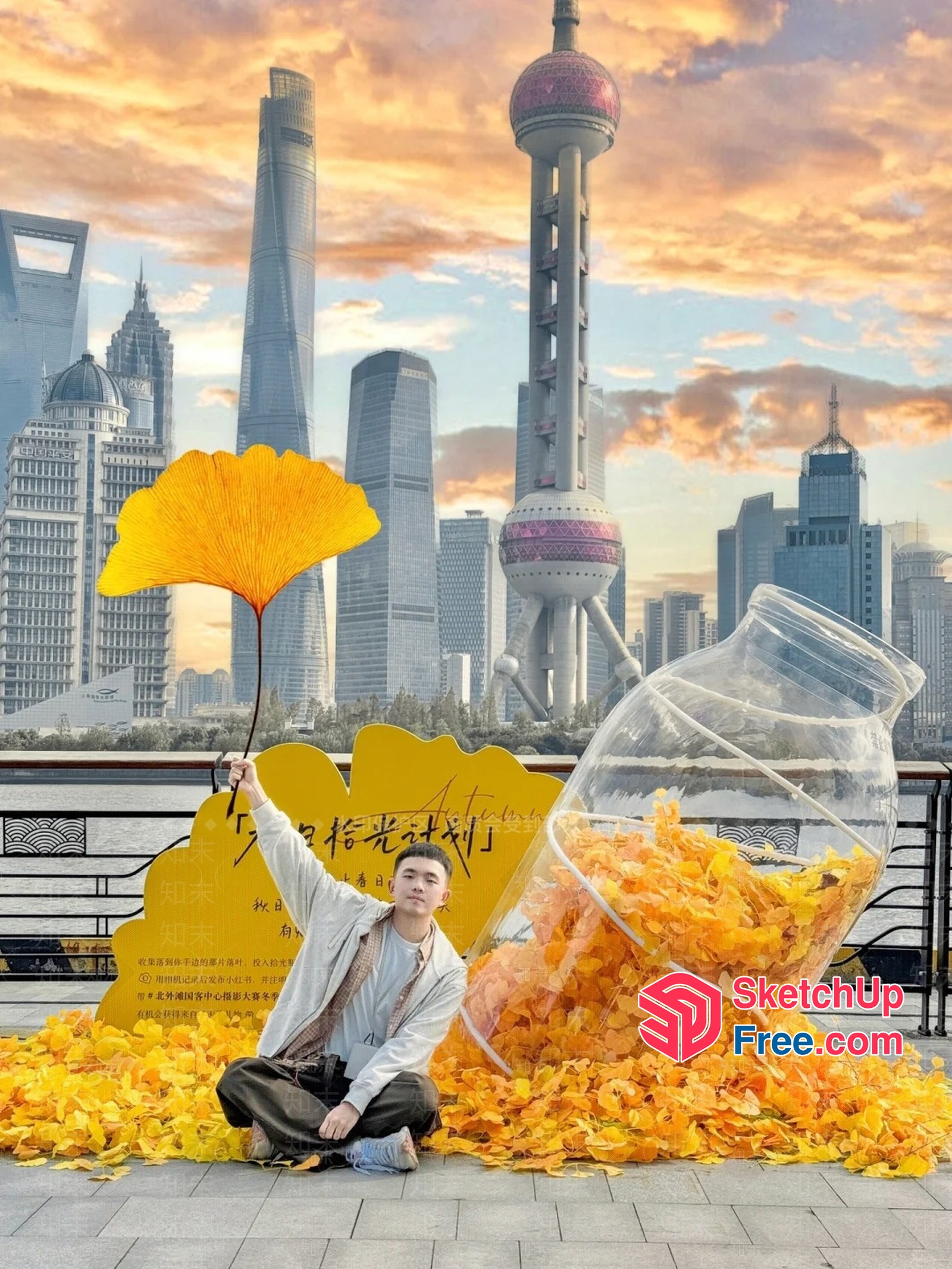 Vibrant Yellow Ginkgo Leaves And Modern Cityscape 3D SketchUp File