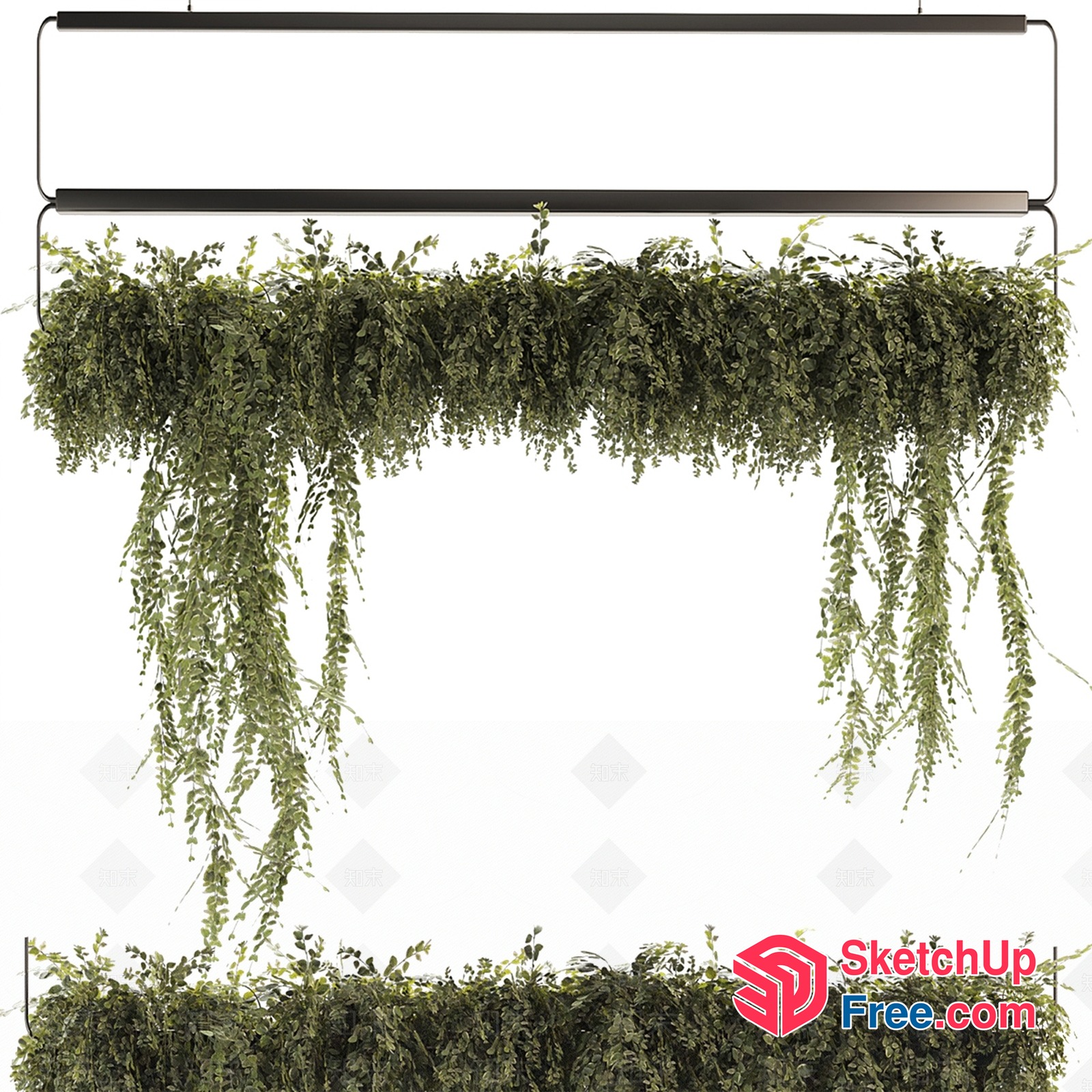 Hanging Greenery And Black Light Fixture 3D SketchUp File