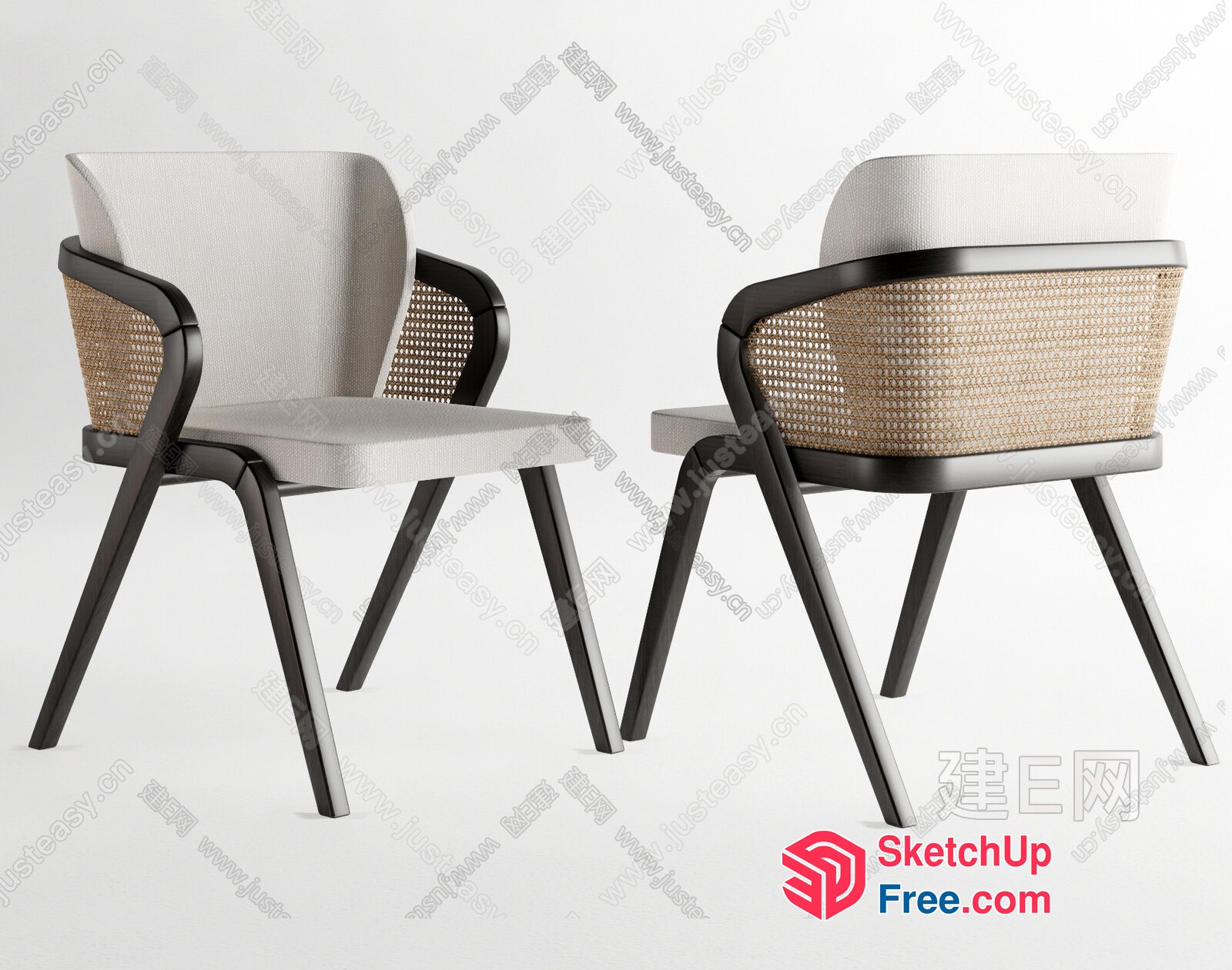 Modern Rattan Accent Chairs 3D SketchUp File