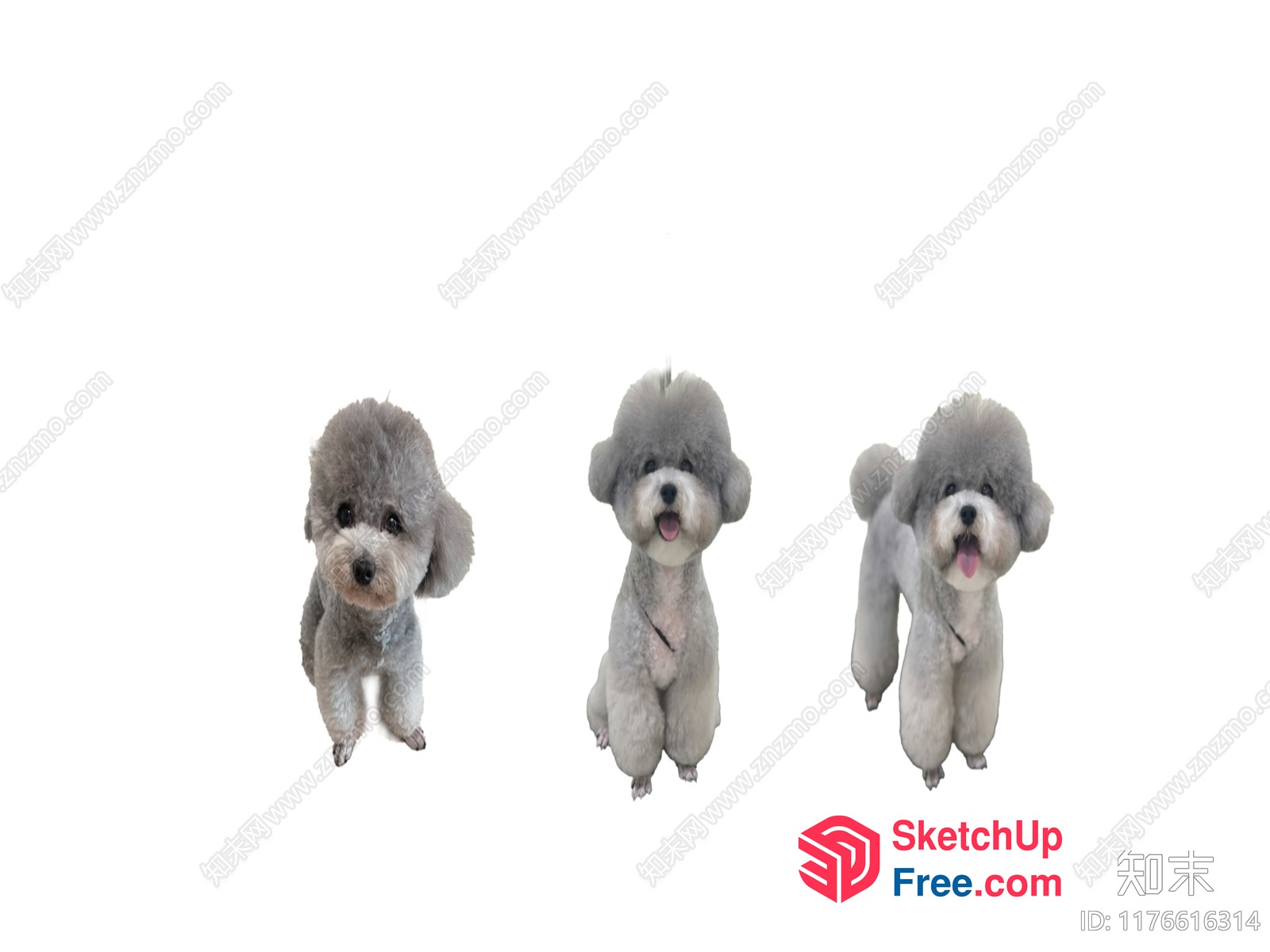 Three Poodles Standing In A Row 3D SketchUp File