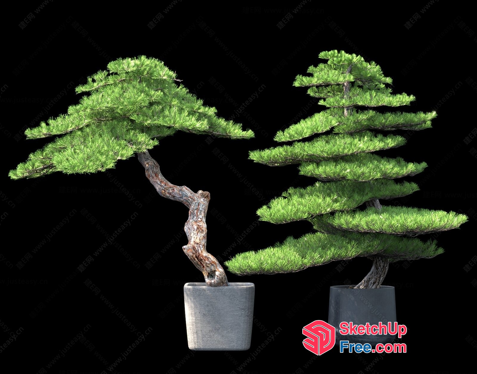 Bonsai Trees In Pots 3D SketchUp File