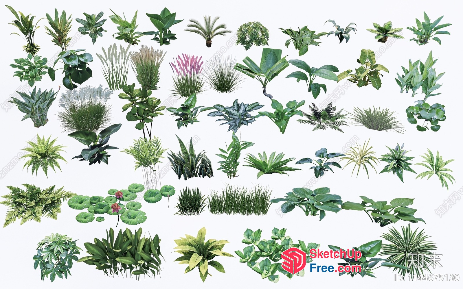 Greenery And Plant Collection 3D SketchUp File