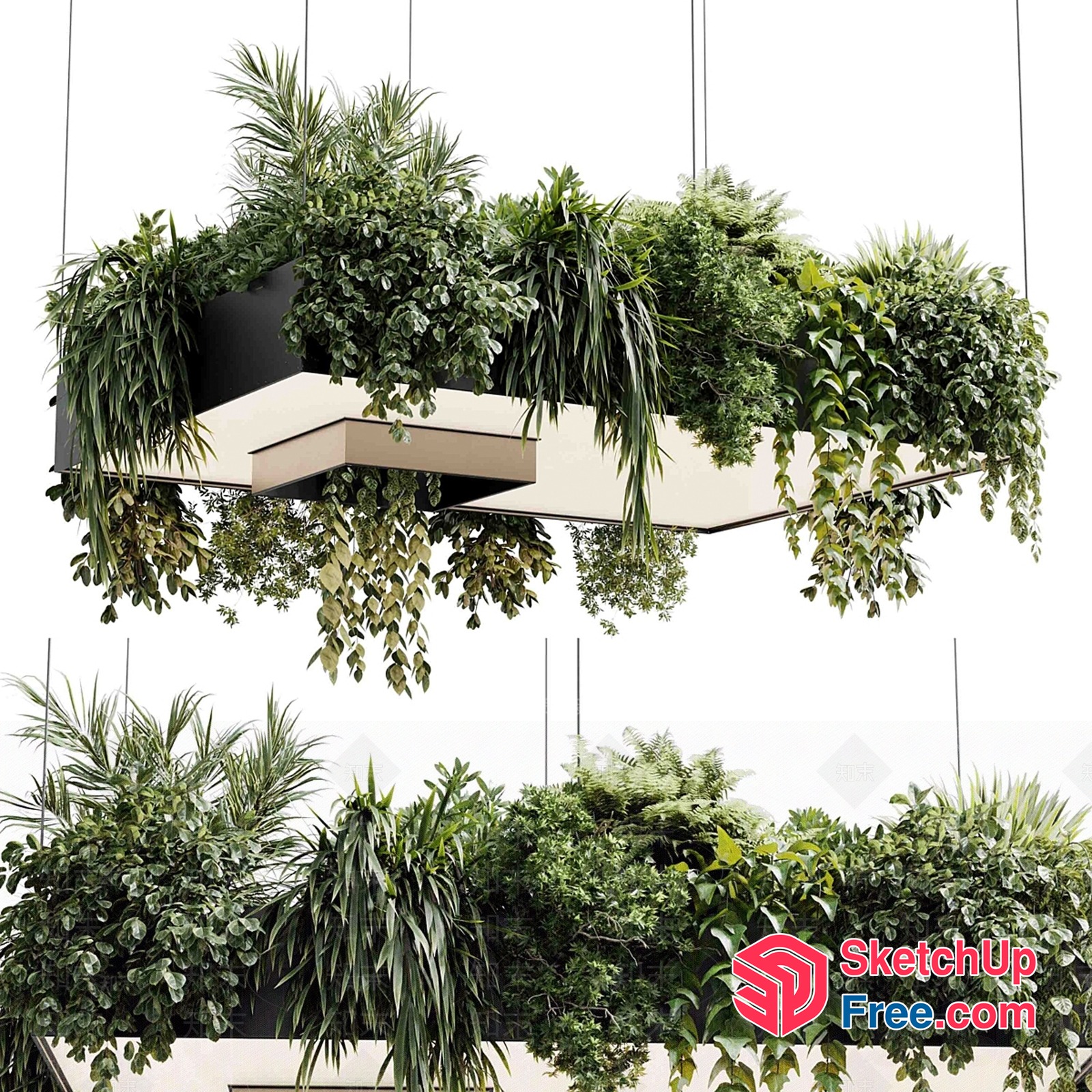 Hanging Greenery Display 3D SketchUp File