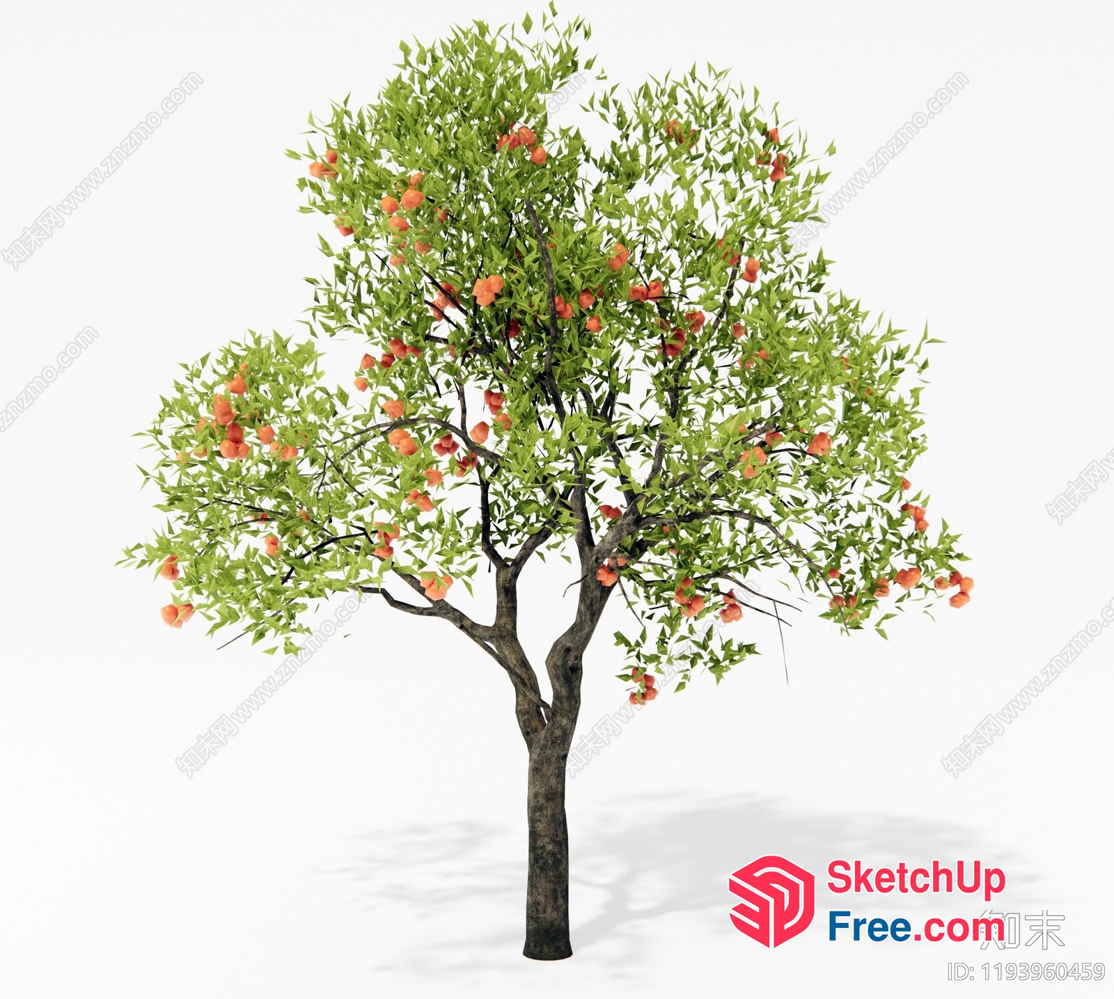 A Tree With Green Leaves And Red Fruits 3D SketchUp File