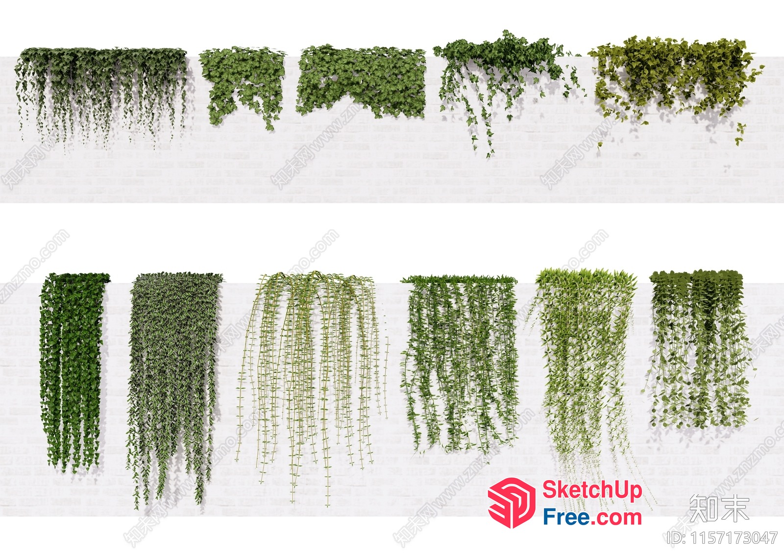 Various Green Plants Hanging Down 3D SketchUp File