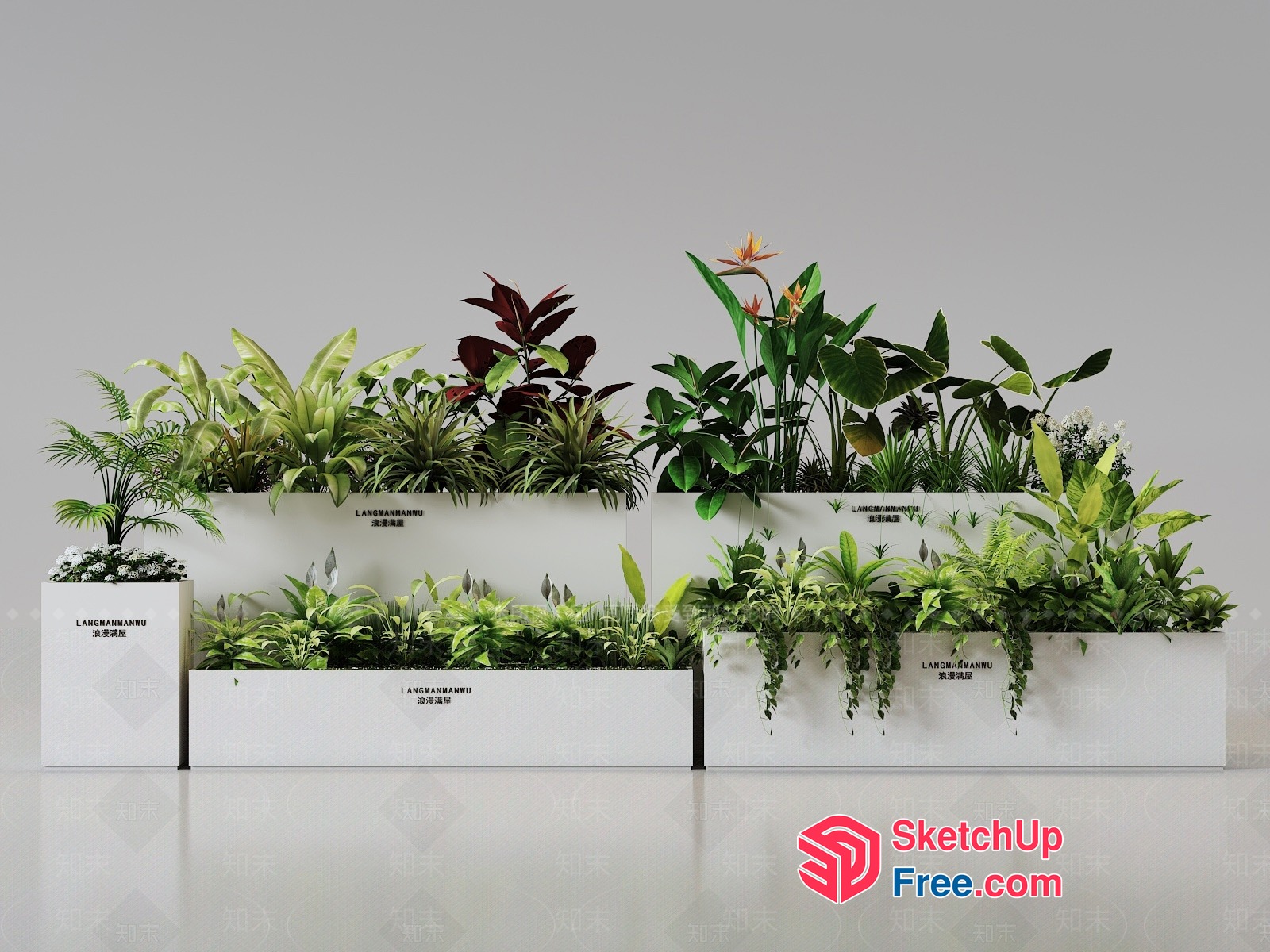 Indoor Plants In White Planters 3D SketchUp File