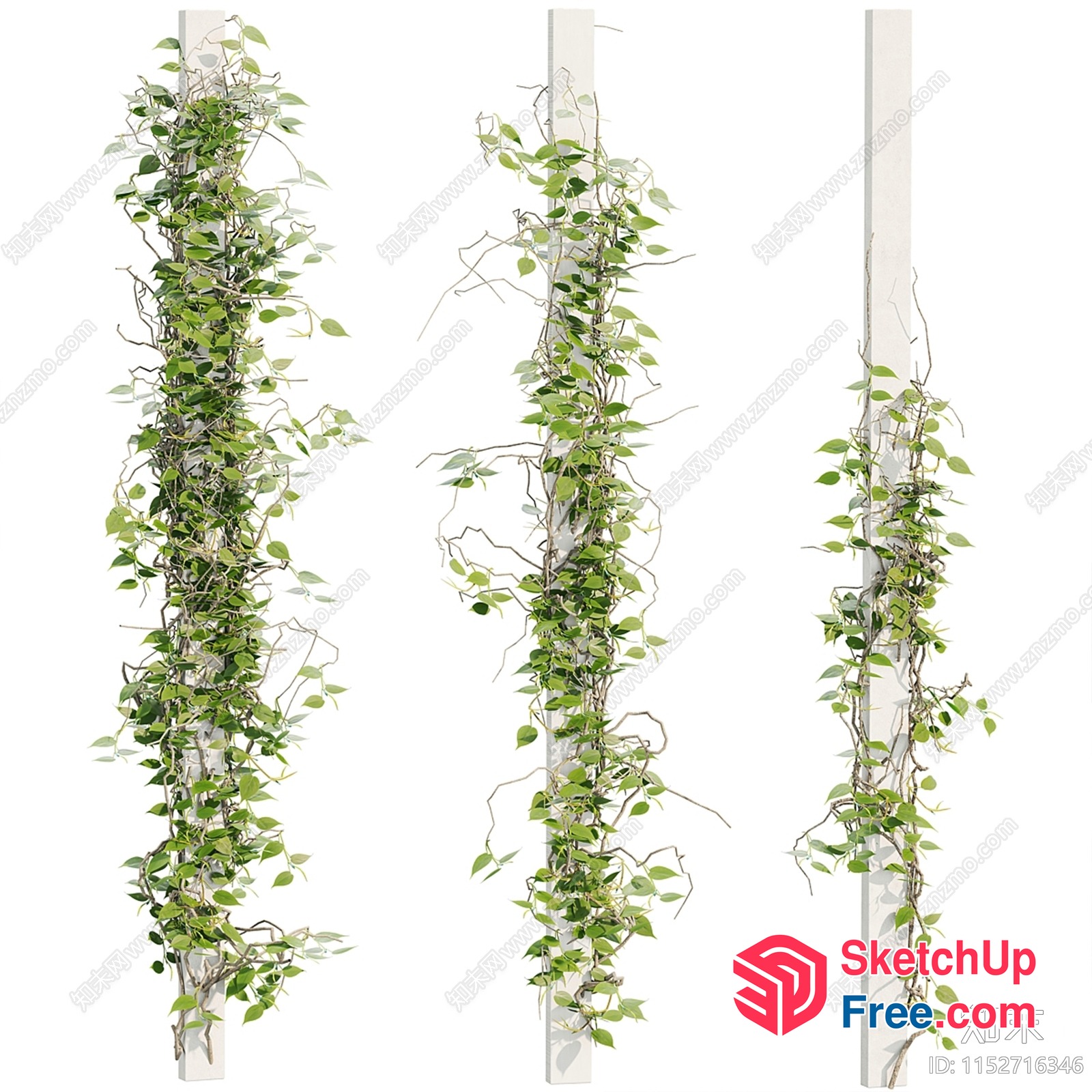 Vines Growing On Pillars 3D SketchUp File