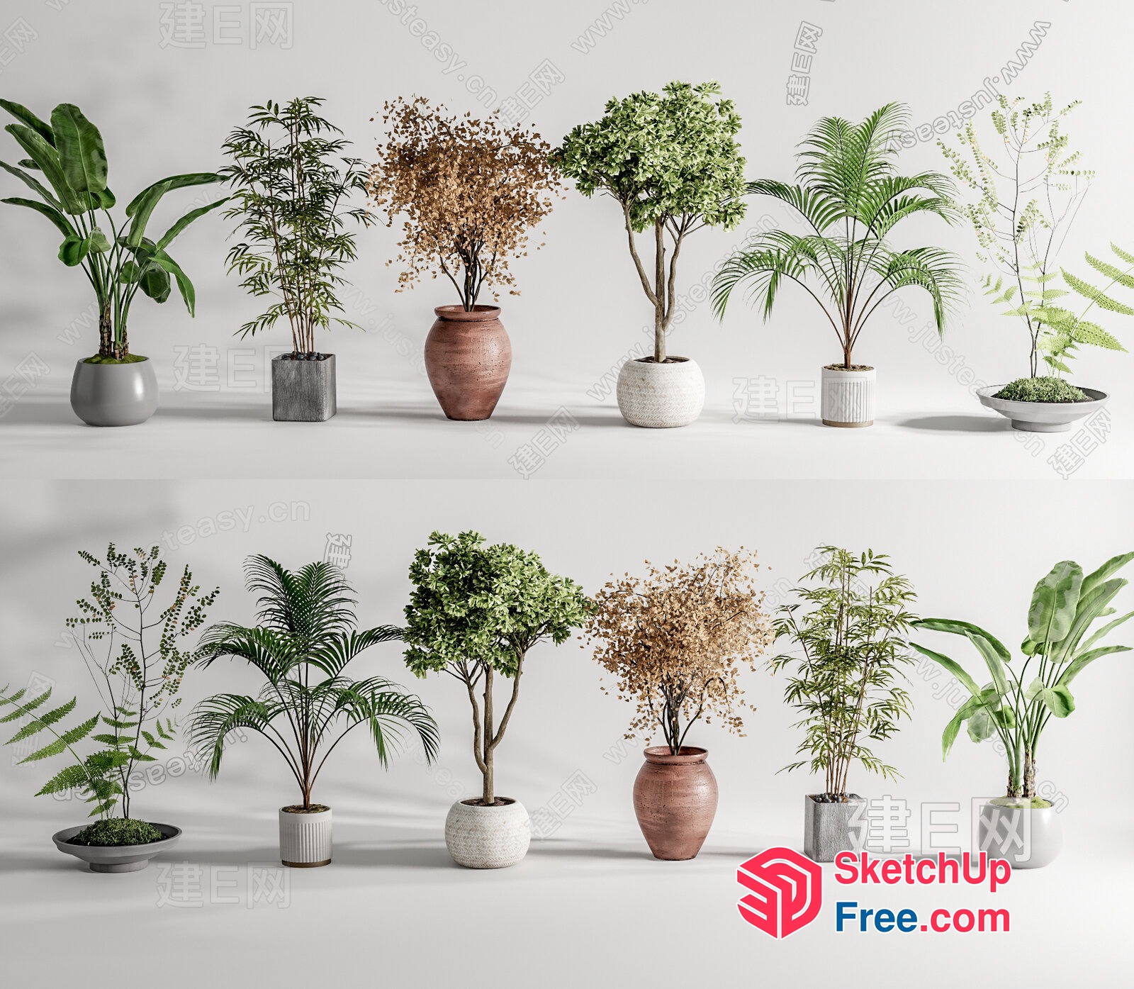 Collection Of Various Potted Plants In Different Styles 3D SketchUp File