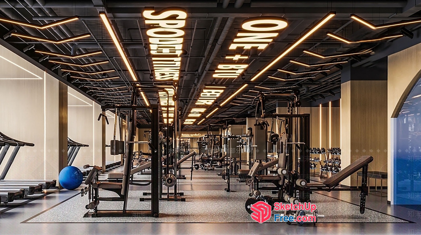 Modern Gym Interior With Sleek Equipment And Lighting 3D SketchUp File