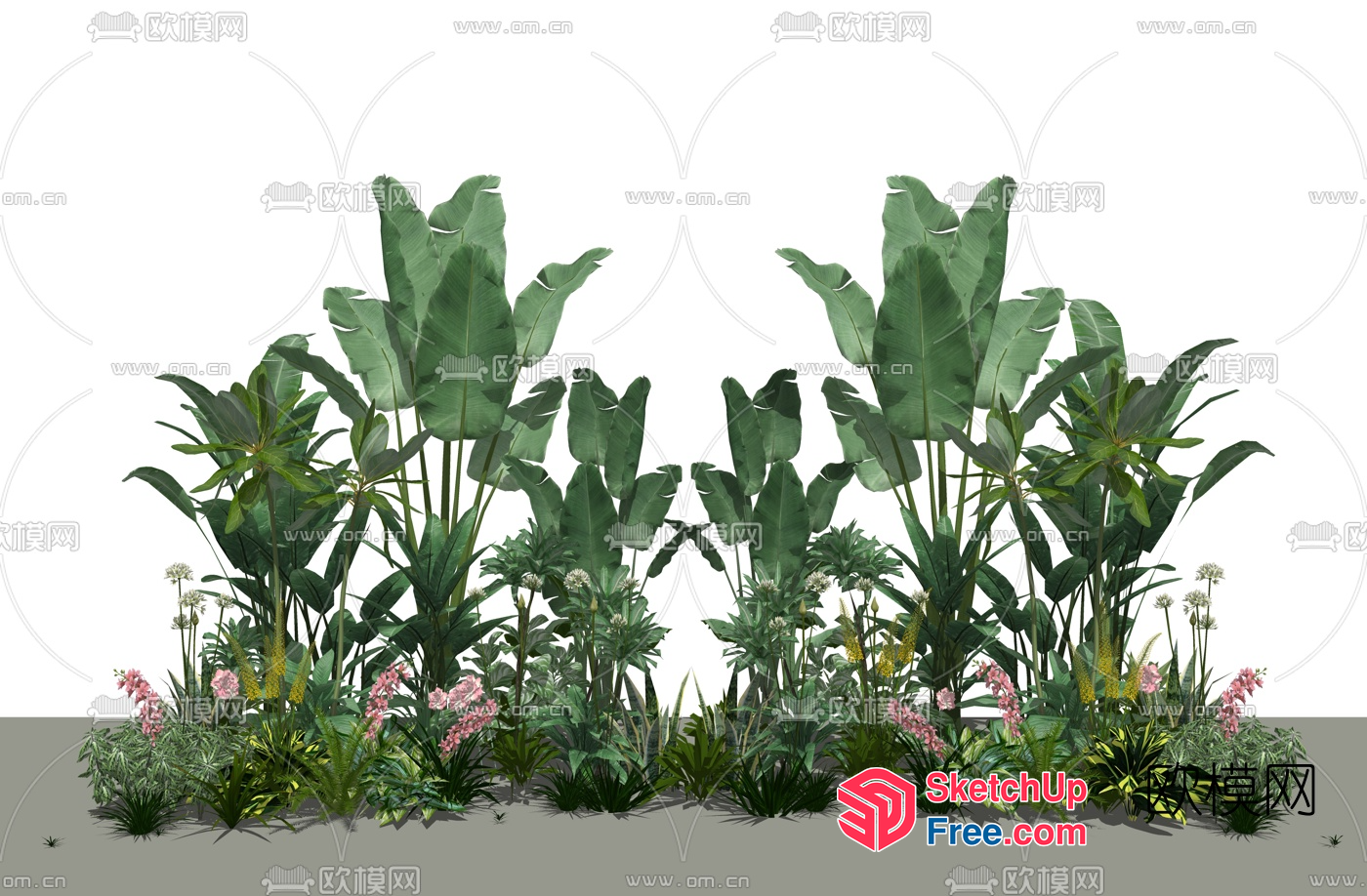 Exotic Tropical Garden 3D SketchUp File