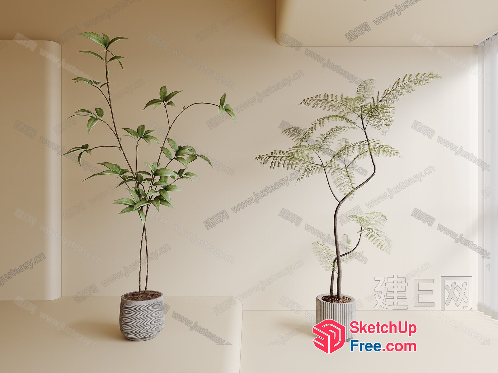 Two Potted Plants On Creamy White Floor And Wall 3D SketchUp File