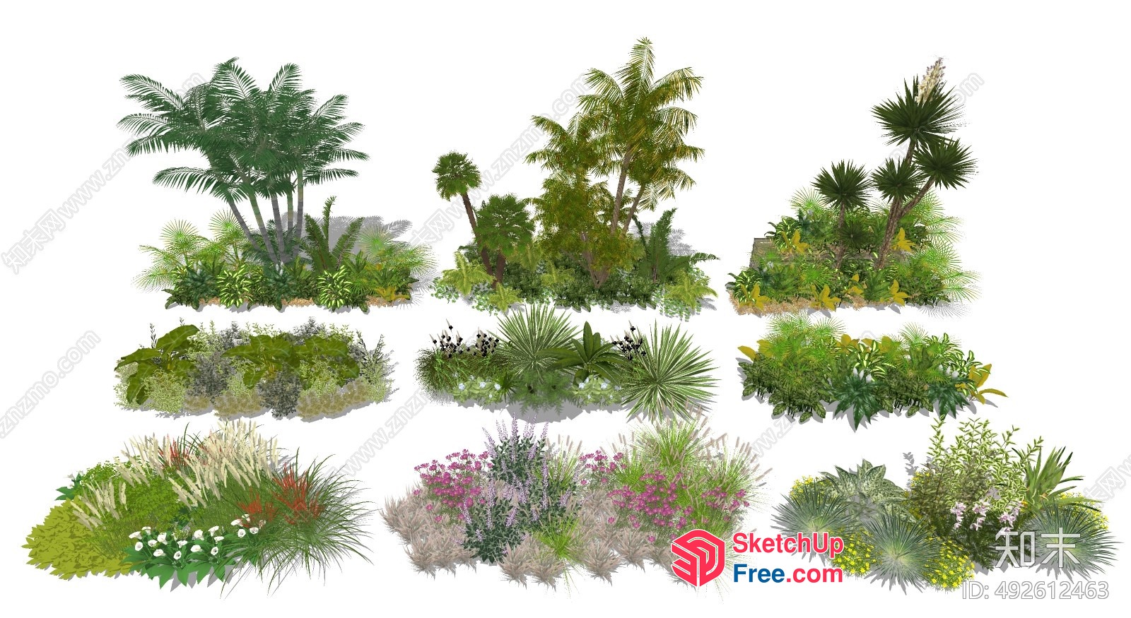 Tropical Garden Decorative Plants 3D SketchUp File