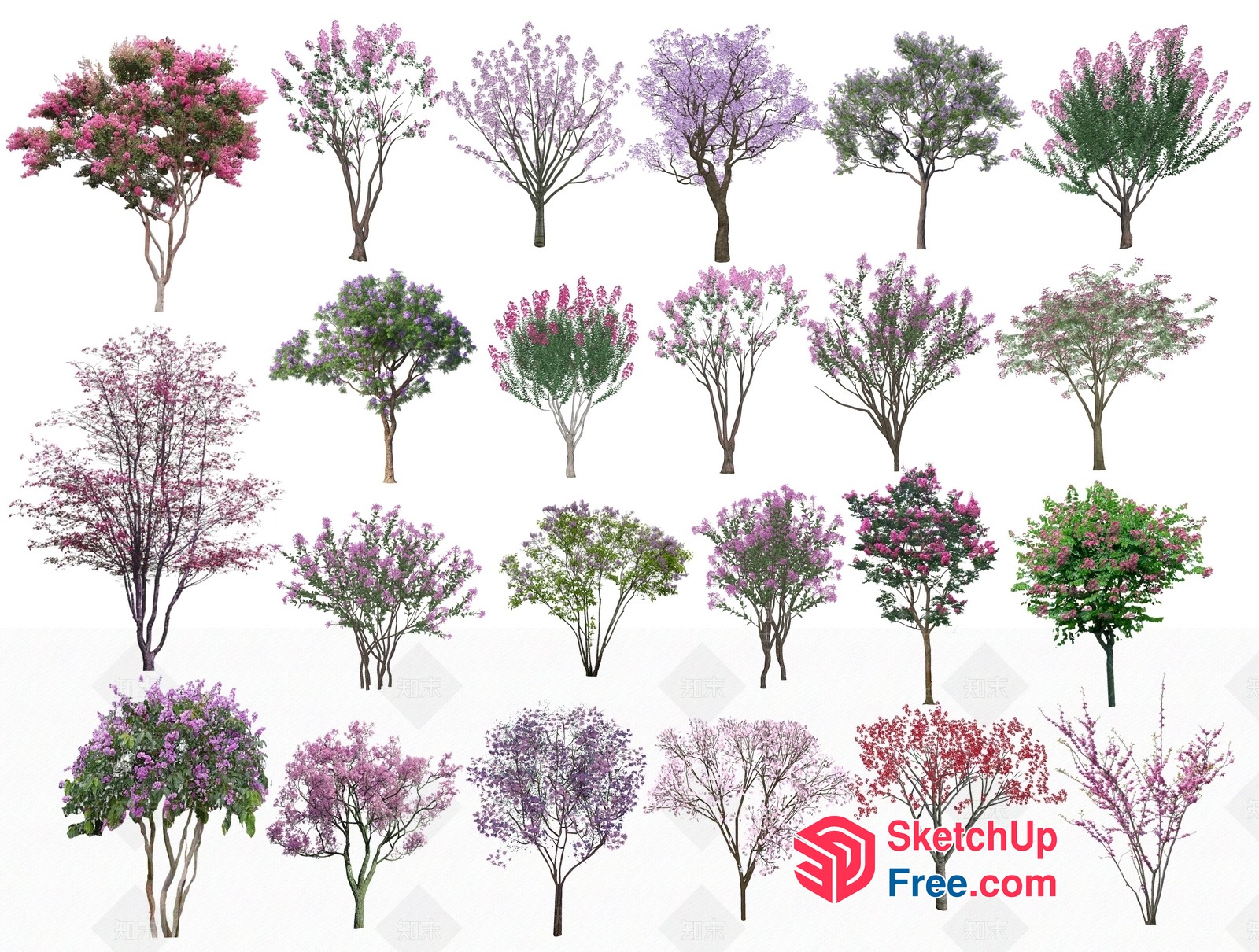 Various Trees In Different Styles 3D SketchUp File