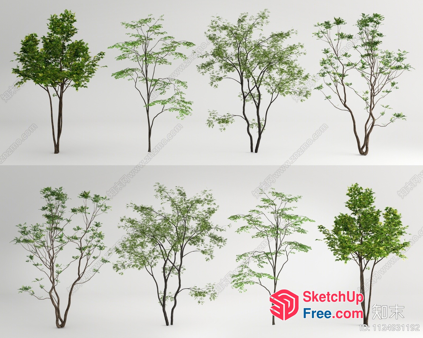 3D Trees With Various Branches And Leaves 3D SketchUp File
