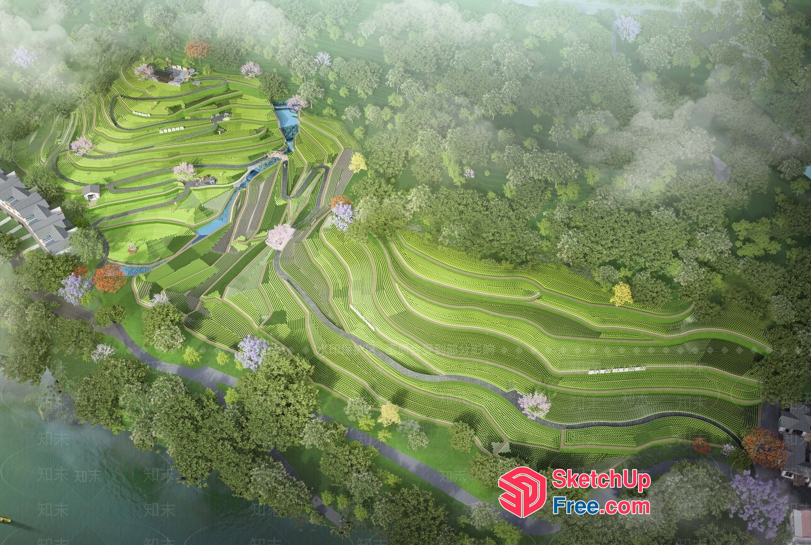 Aerial View Of Serene Tea Plantation 3D SketchUp File