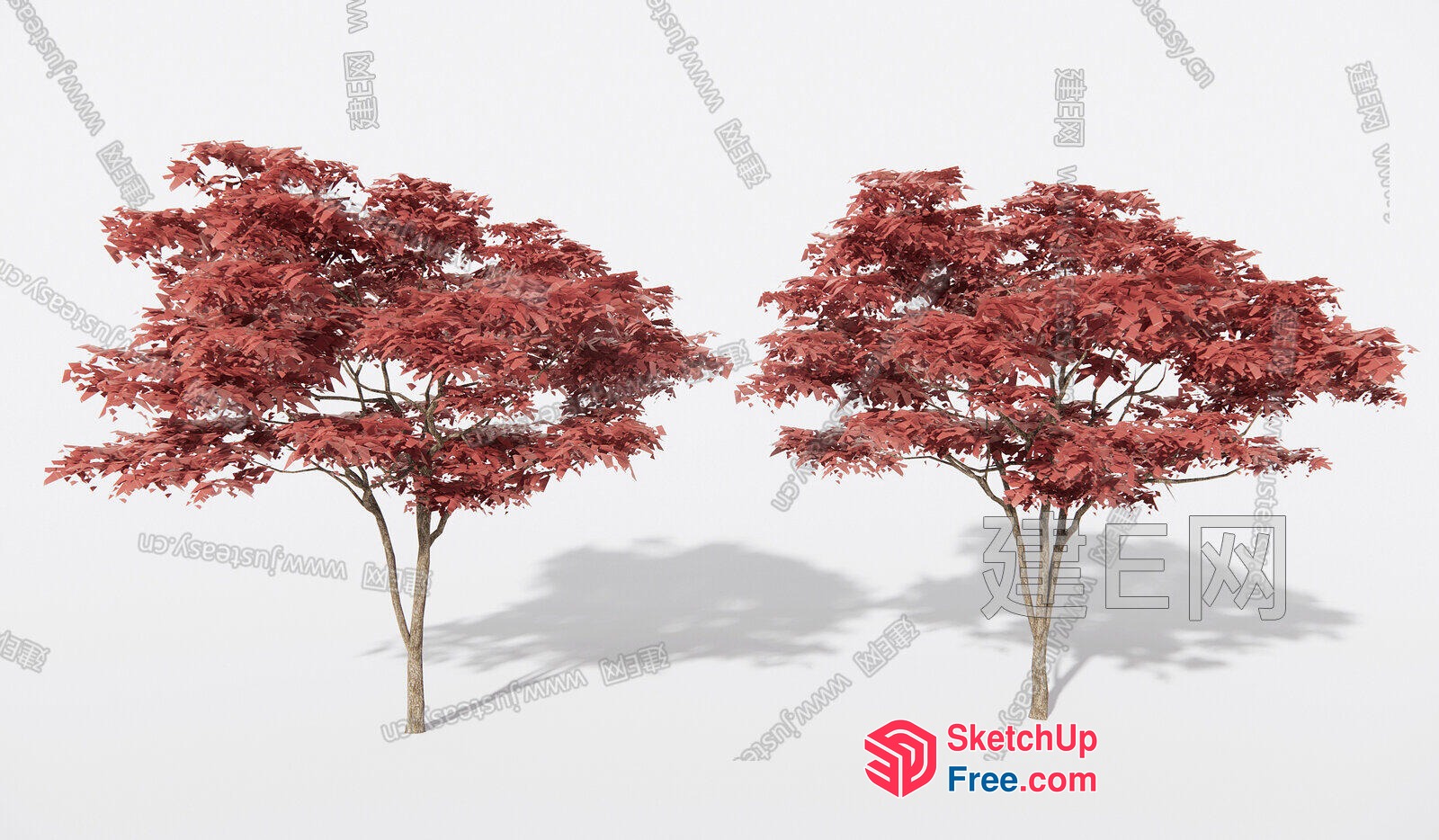 Two Red Trees In A Neutral Setting 3D SketchUp File