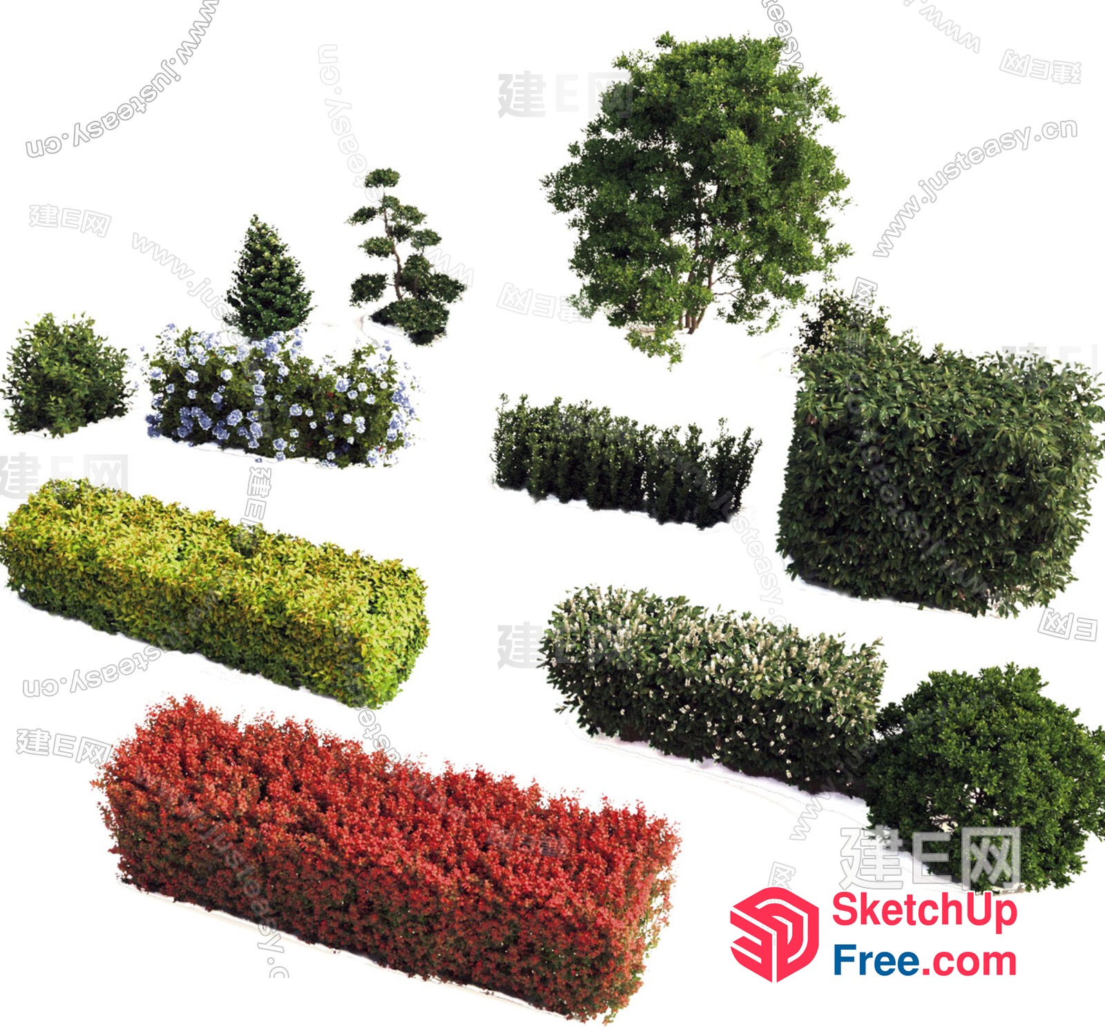 Colorful Greenery Decorations 3D SketchUp File