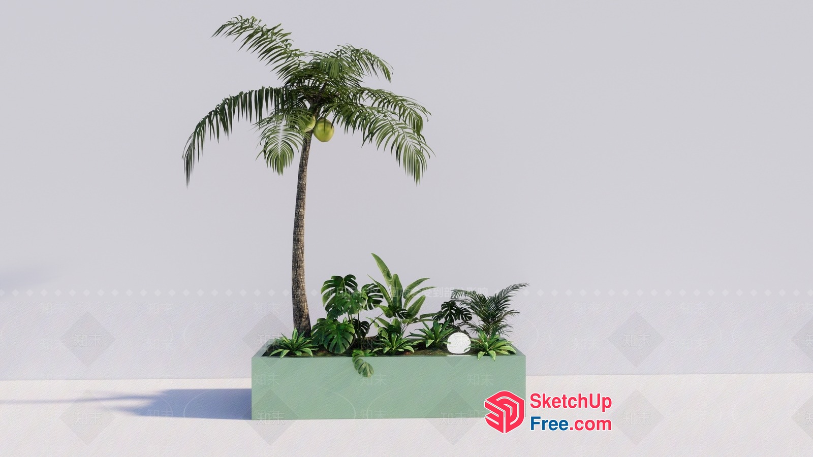 Tropical Palm Tree And Plants In A Rectangular Planter 3D SketchUp File