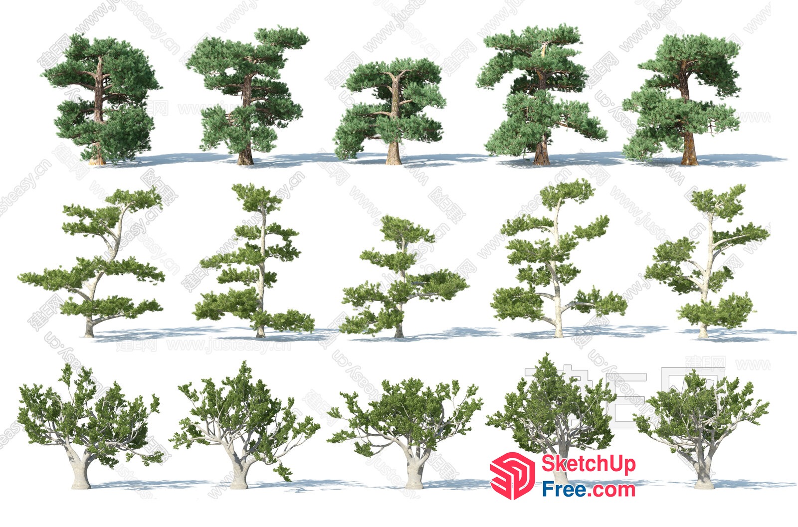 Trees In Various Shapes And Sizes 3D SketchUp File