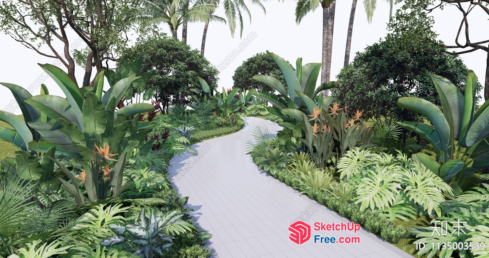 Tropical Garden Pathway 3D SketchUp File