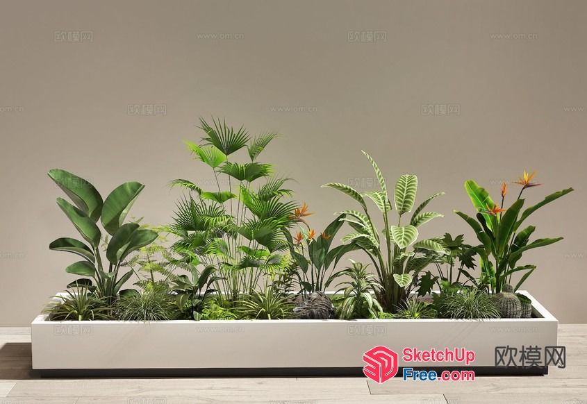 Exquisite Tropical Plant Display 3D SketchUp File