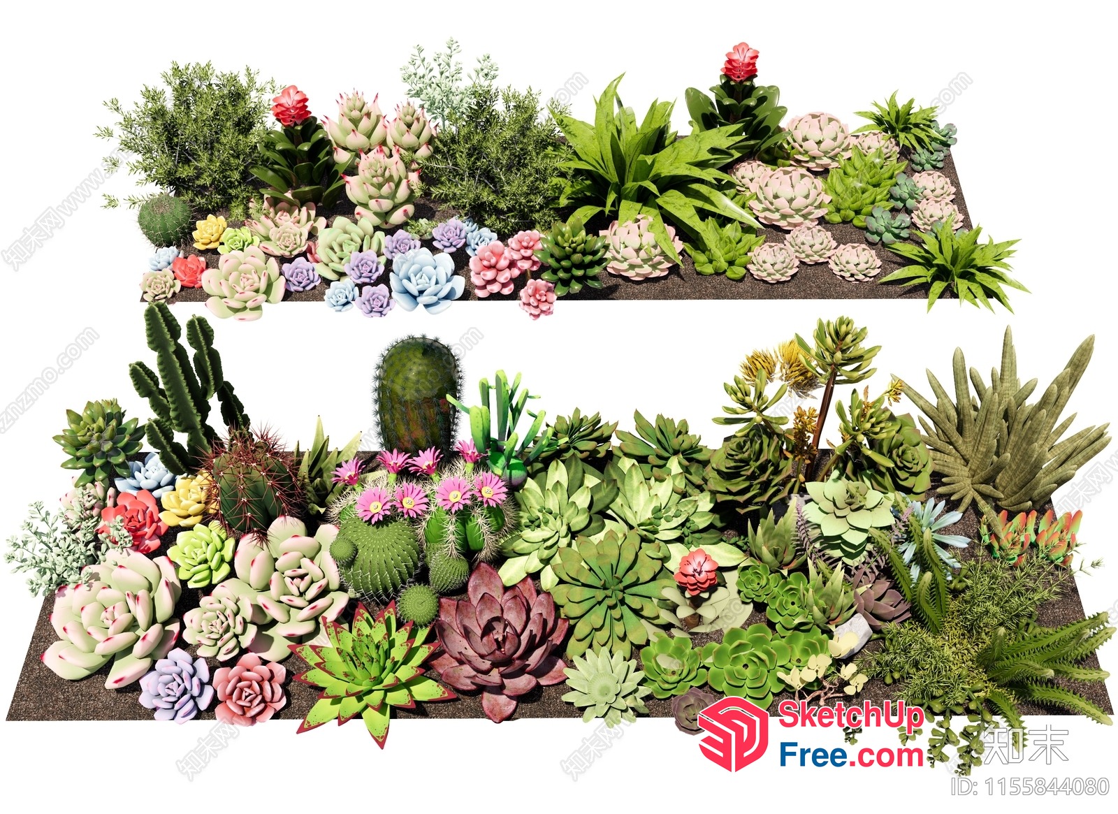 Exotic Succulents And Cacti Arrangement 3D SketchUp File
