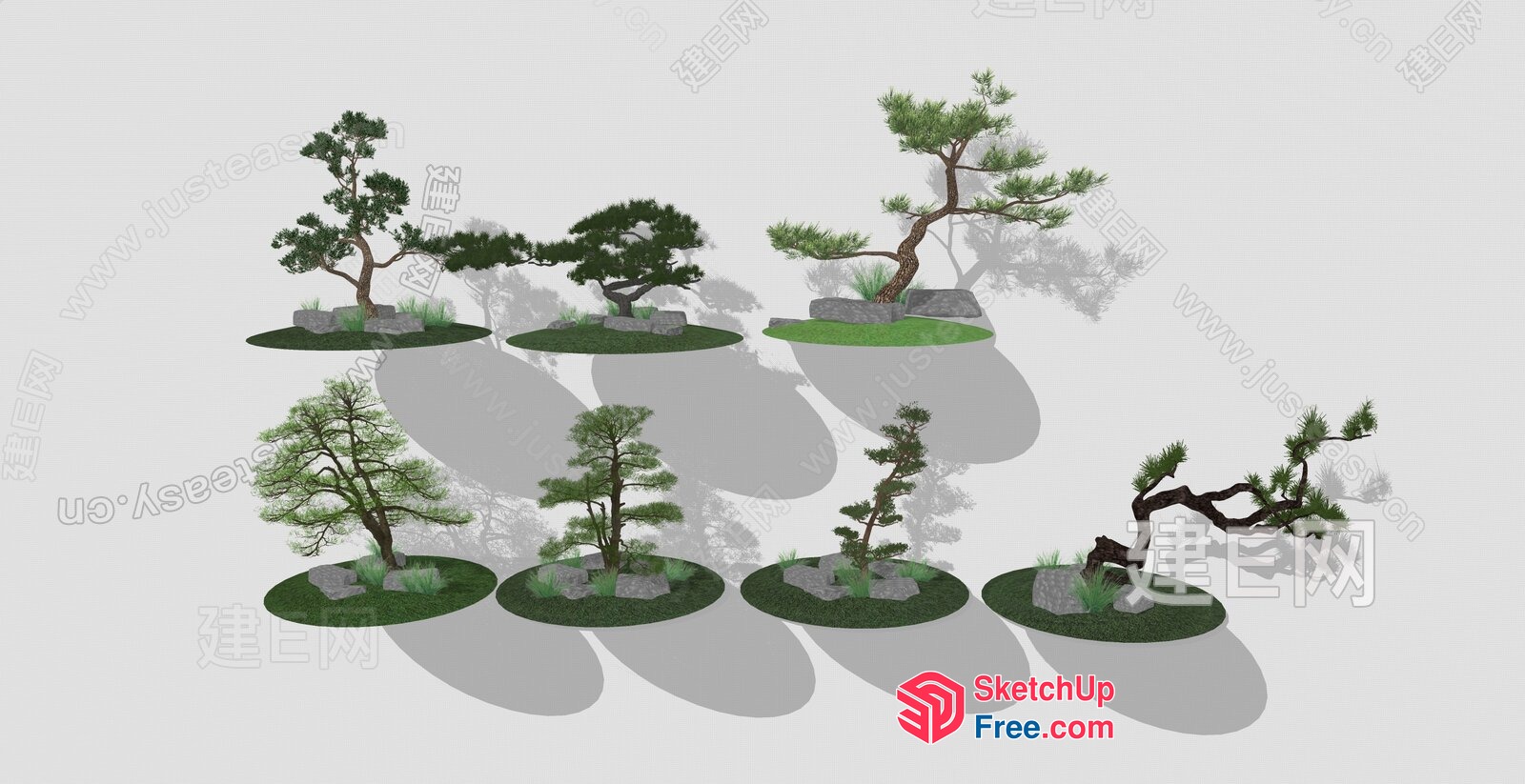 Bonsai Trees In Various Stages Of Growth 3D SketchUp File